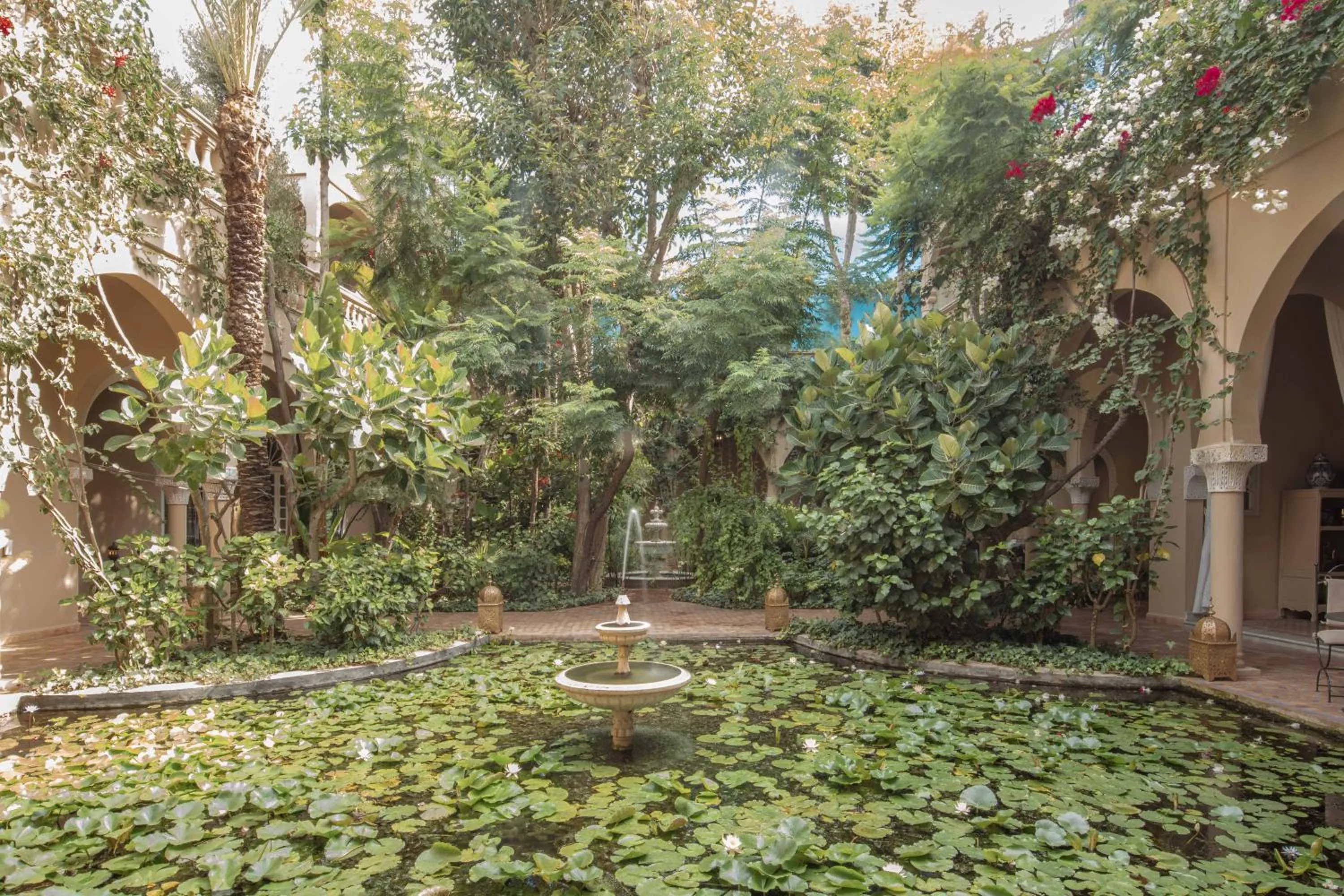 Garden in Riad Dar El Malaika