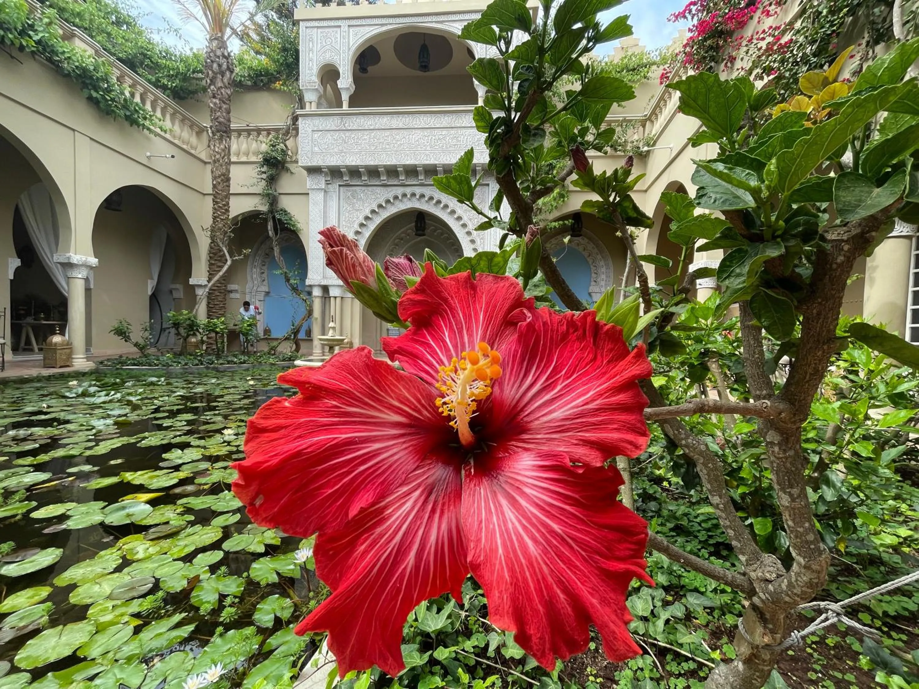 Garden in Riad Dar El Malaika