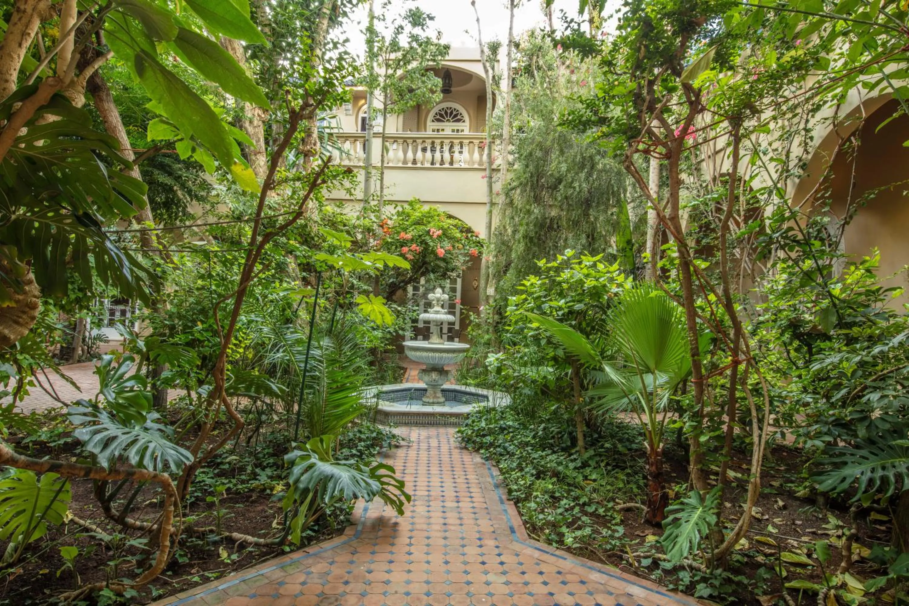 Garden in Riad Dar El Malaika
