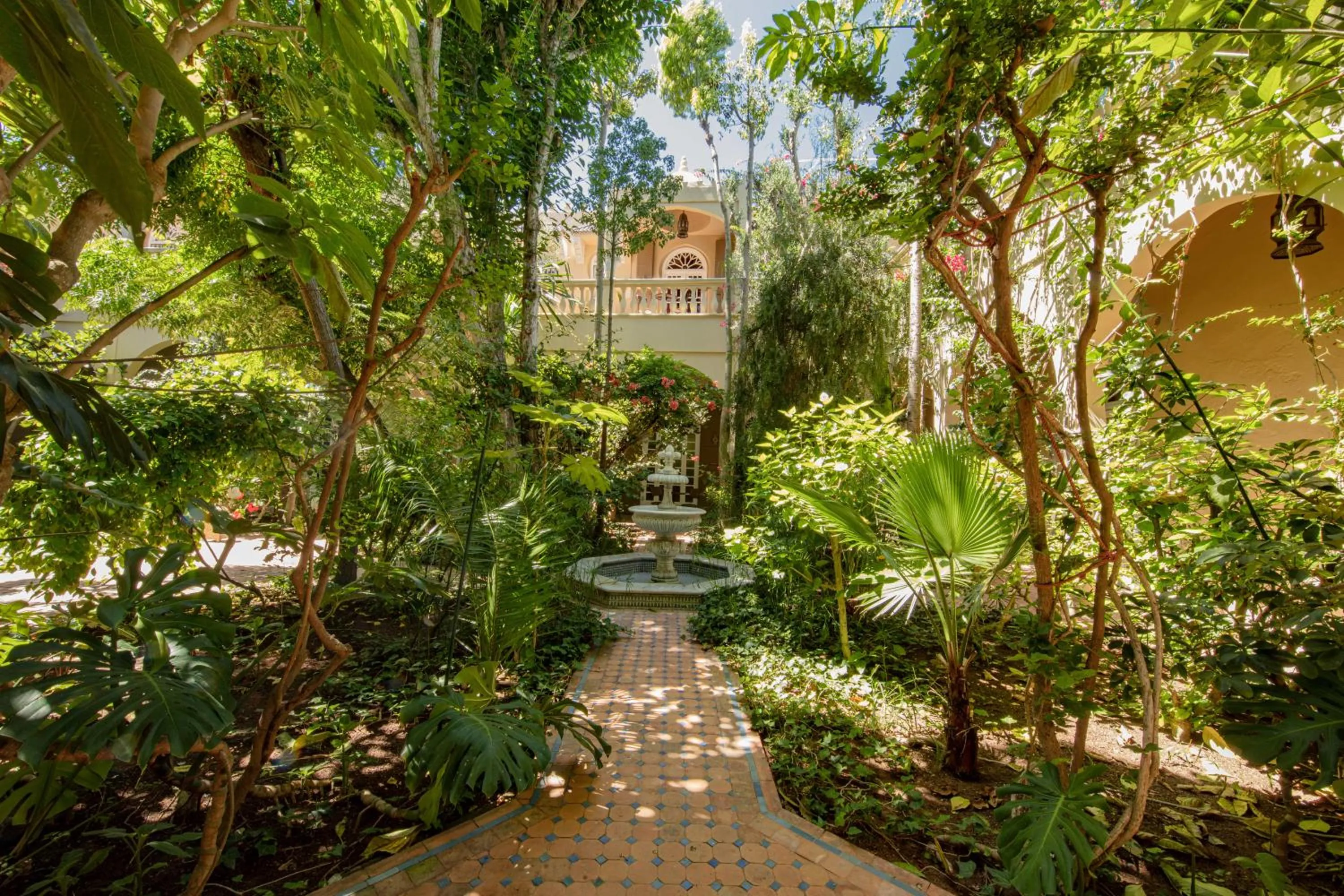 Garden in Riad Dar El Malaika