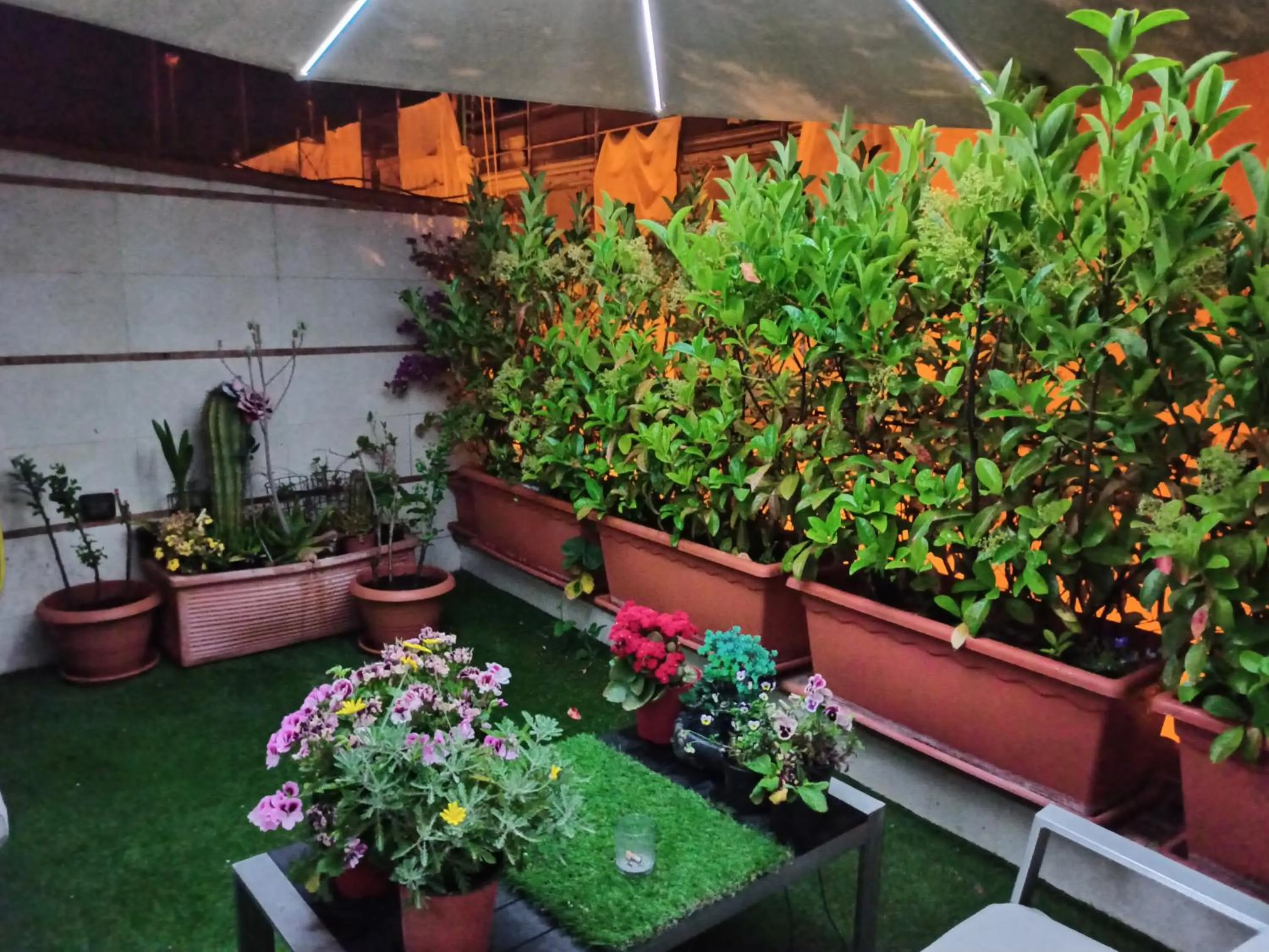 Balcony/Terrace in La Luna e il Sole