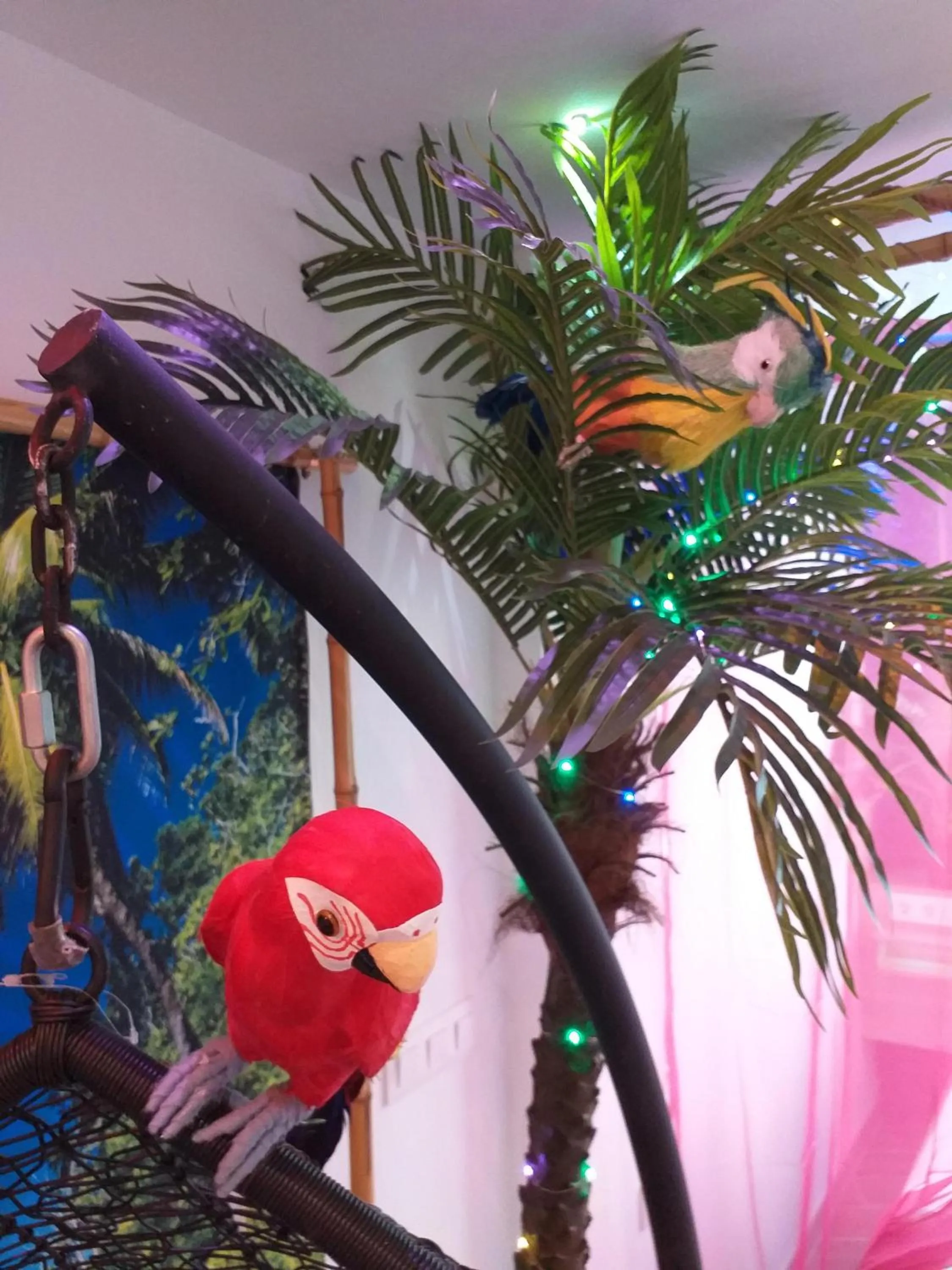 Bedroom in Wonder Paradisio Studio Nerja