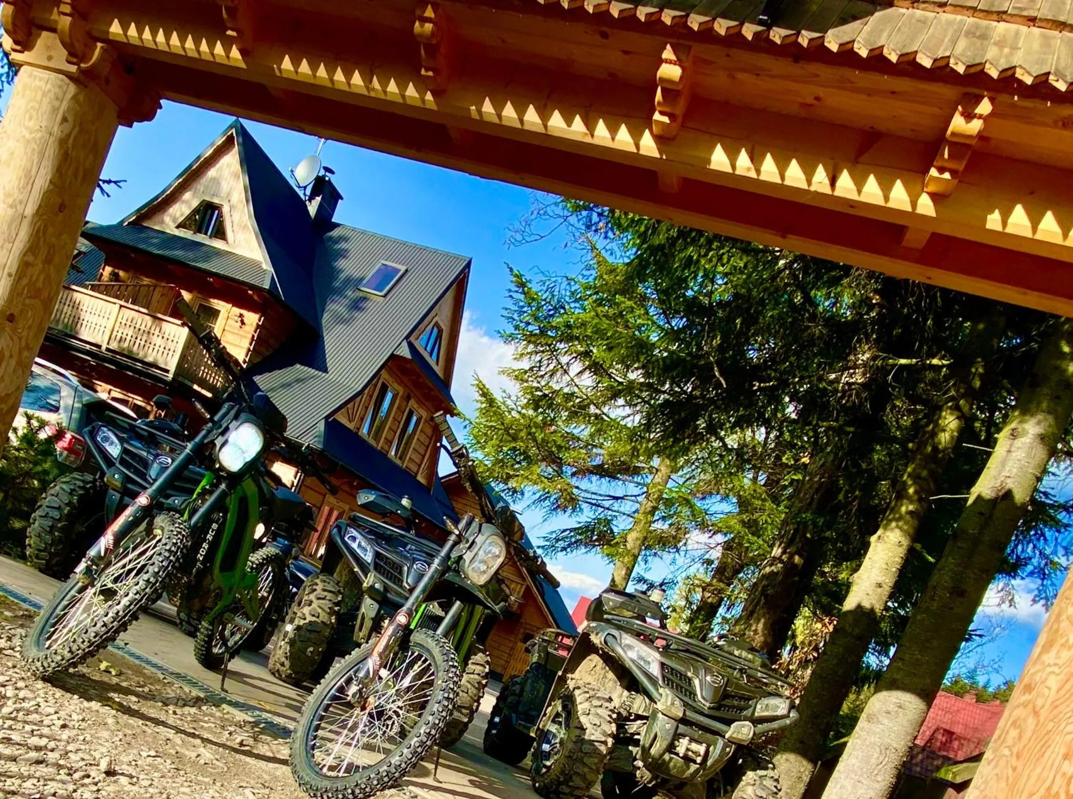 Animals in Stella doro