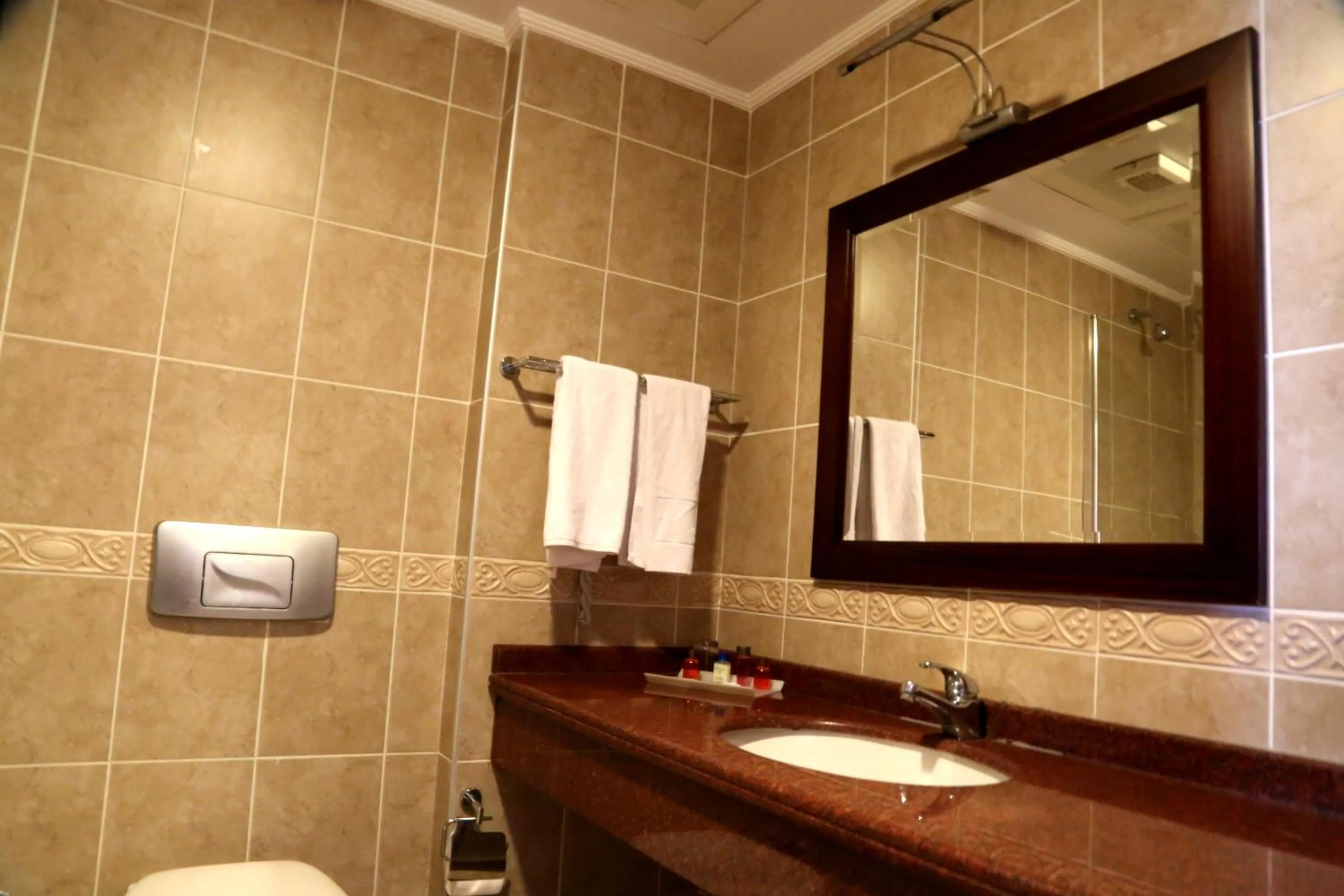 Shower in Kumburgaz Blue World Hotel