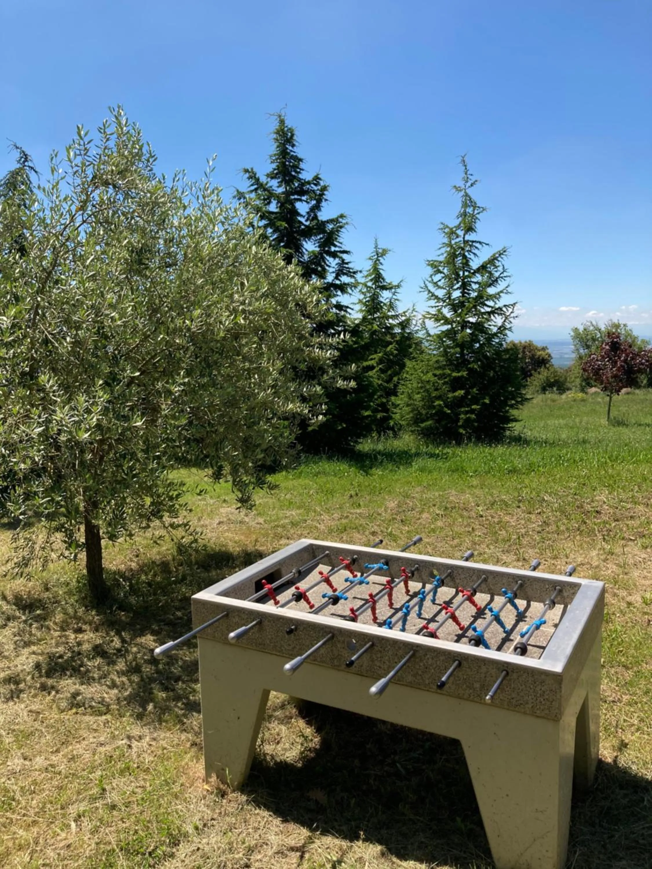 Activities in Domaine de Campras B&B