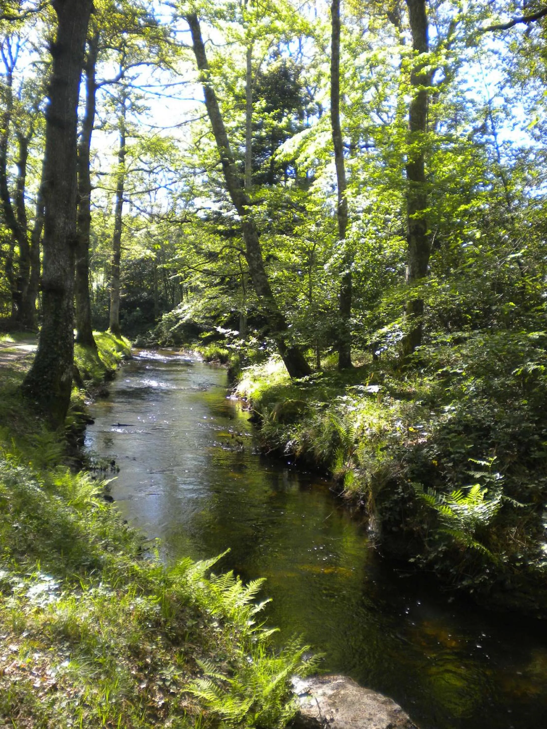 Natural landscape in Domaine de Campras B&B