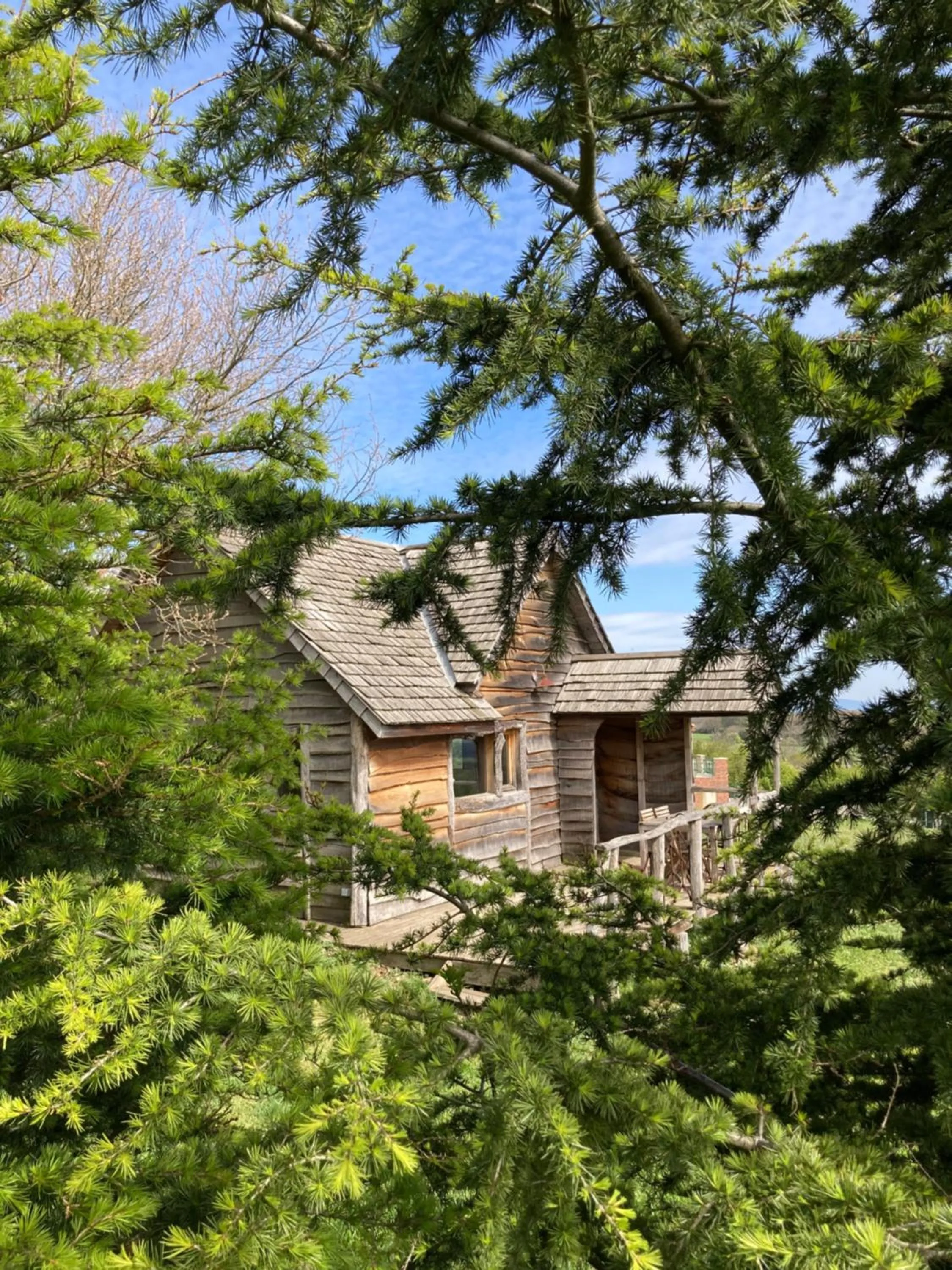 View (from property/room) in Domaine de Campras B&B