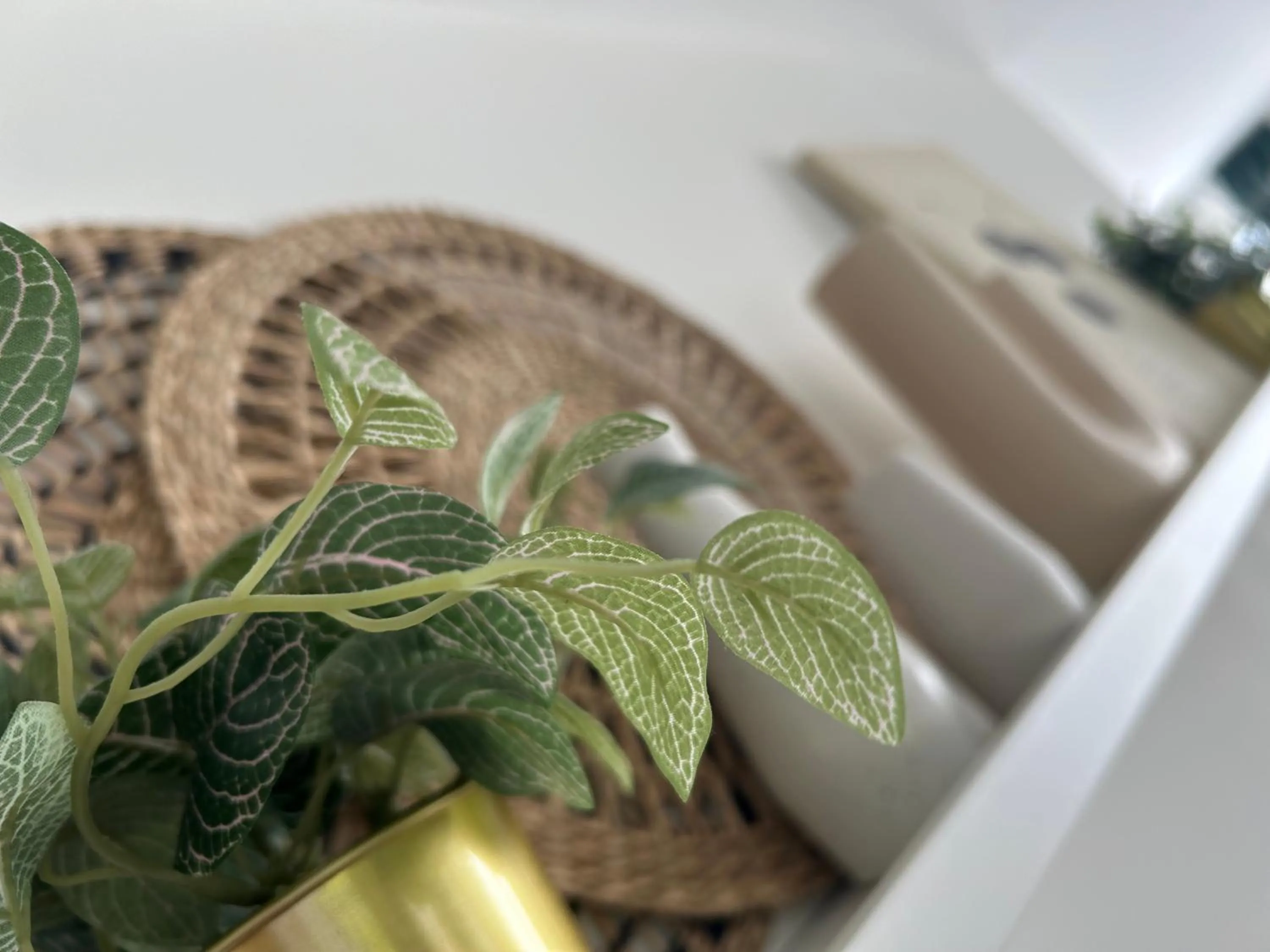 Decorative detail in B&B Zunderdorp