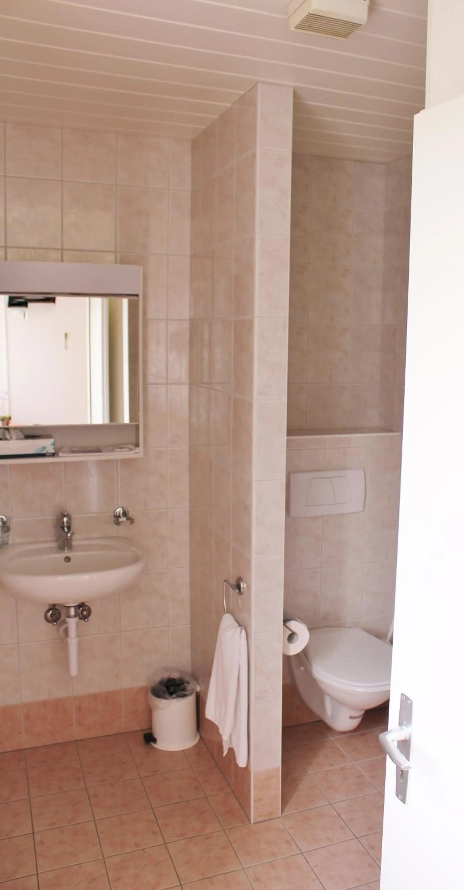 Toilet in Hotel Les Rives Du Doubs