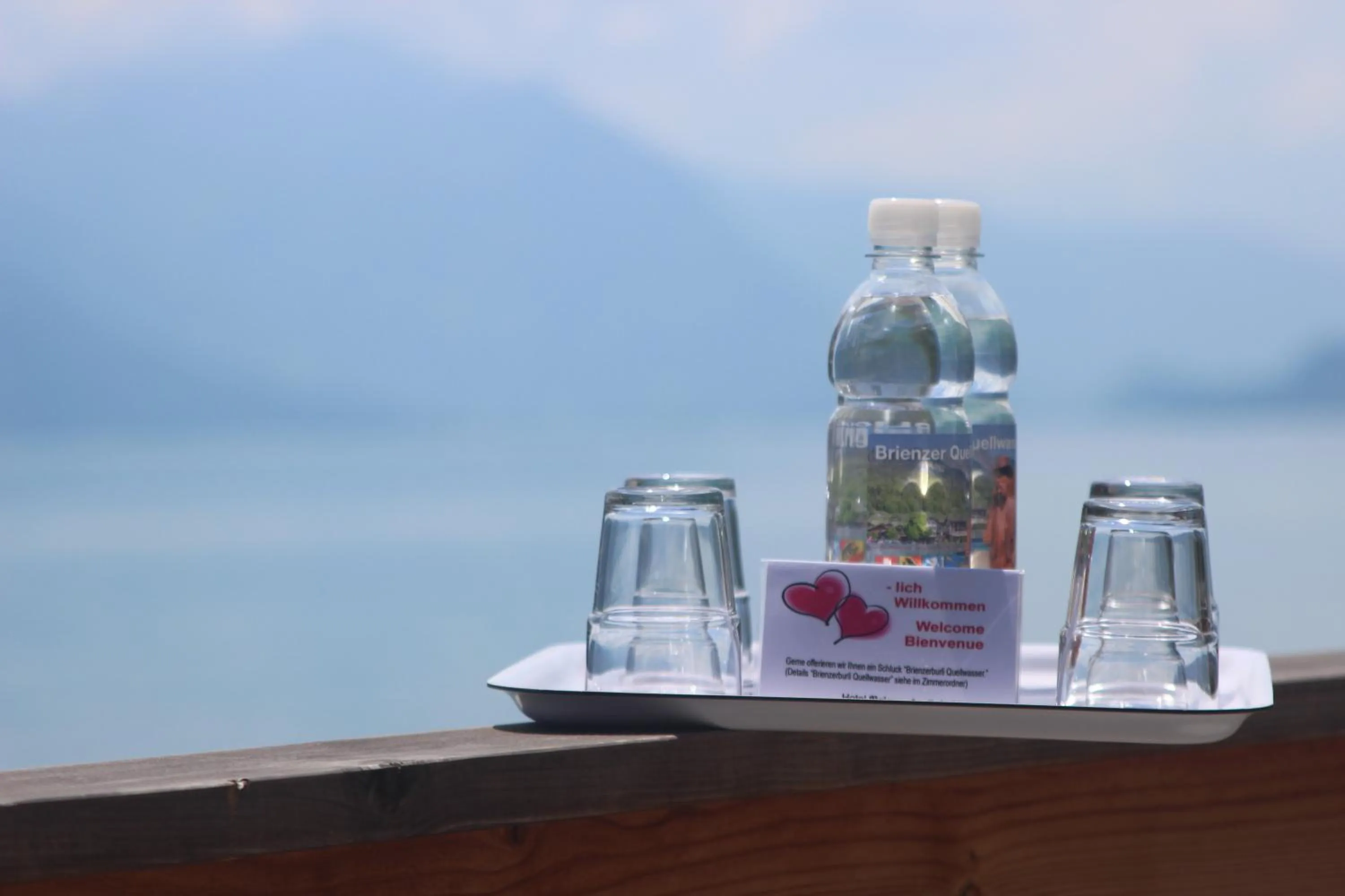 Non alcoholic drinks in Hotel Brienzerburli