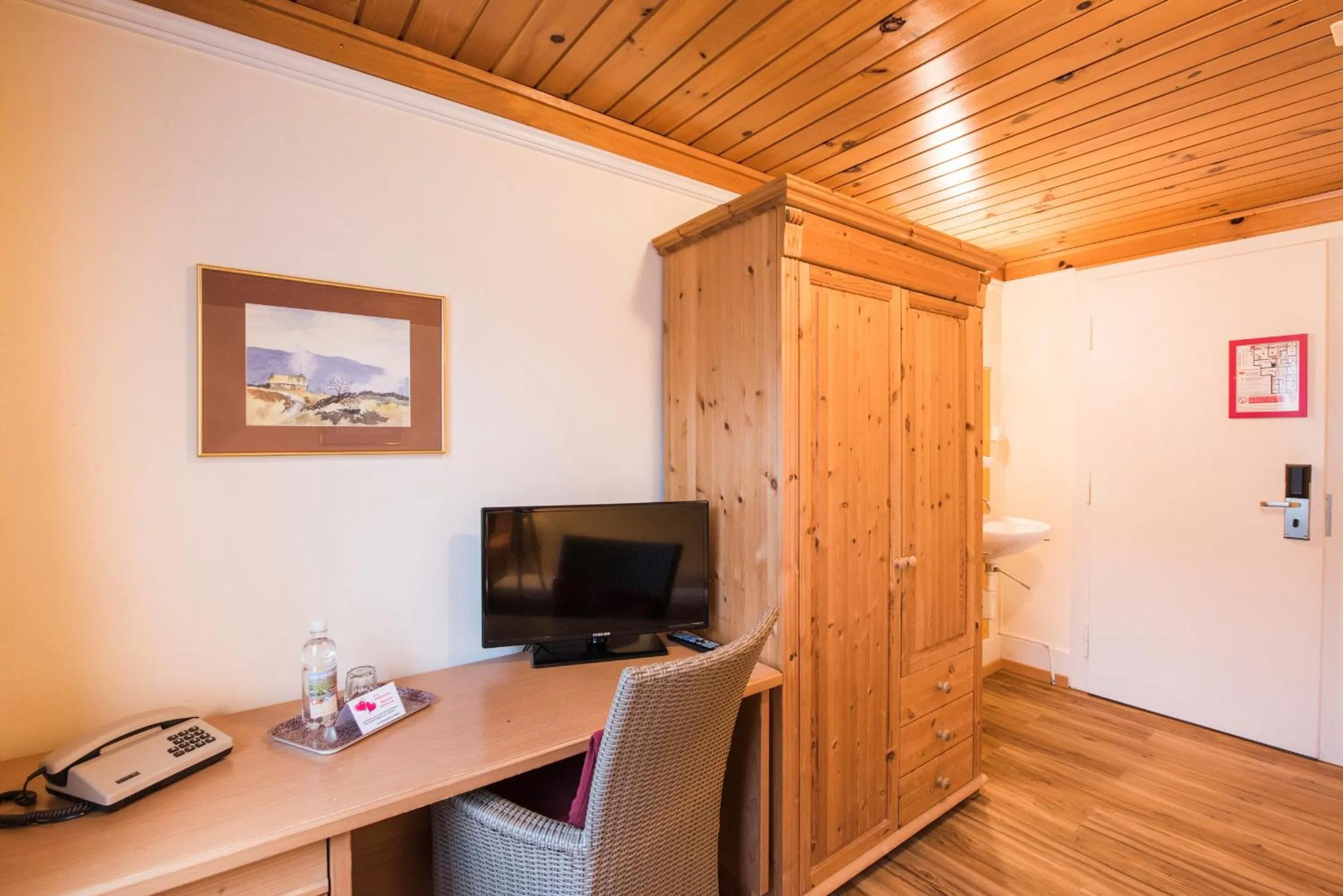 TV and multimedia in Hotel Brienzerburli