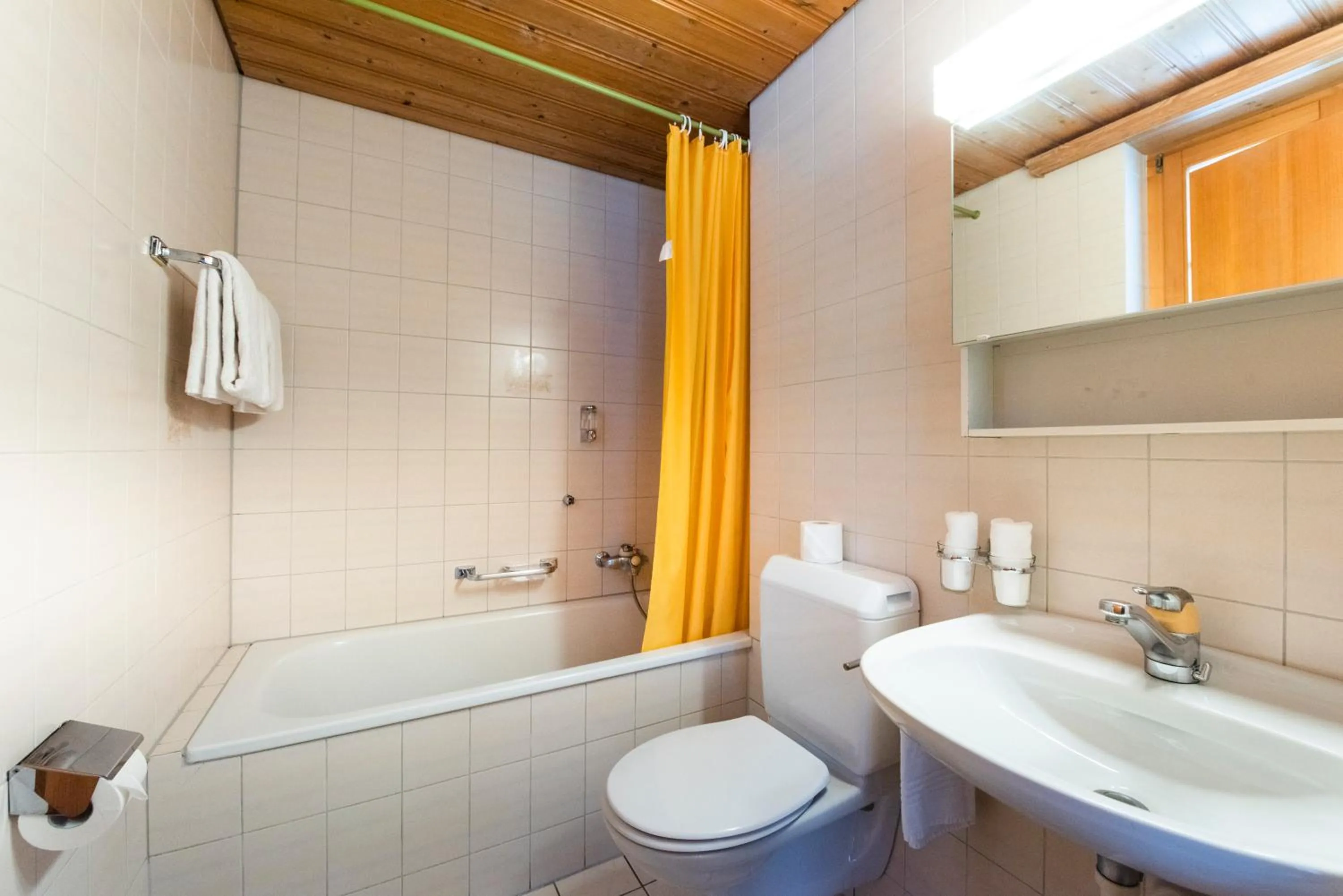 Bathroom in Hotel Brienzerburli