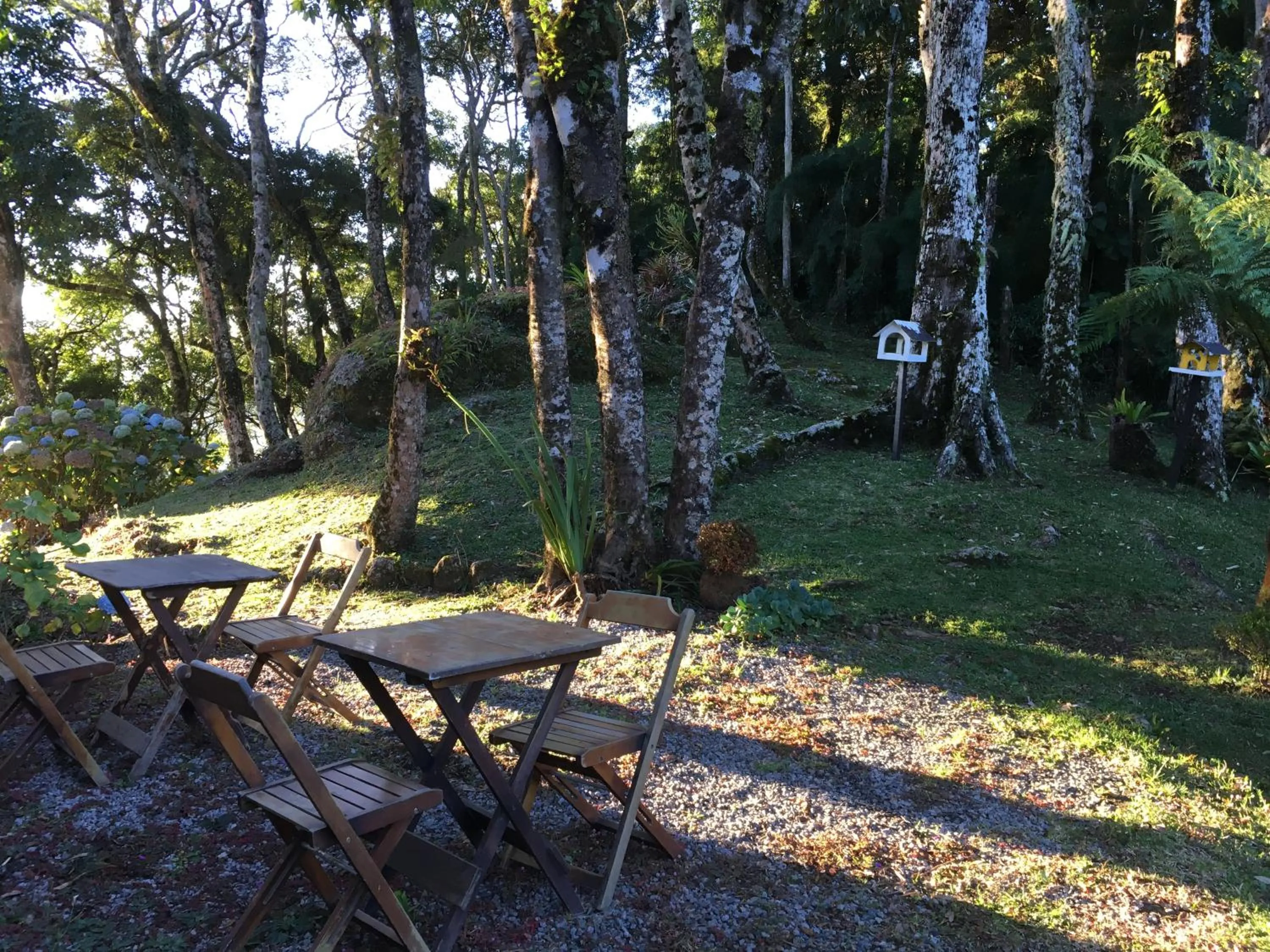 Garden in Pousada VillaSerrana