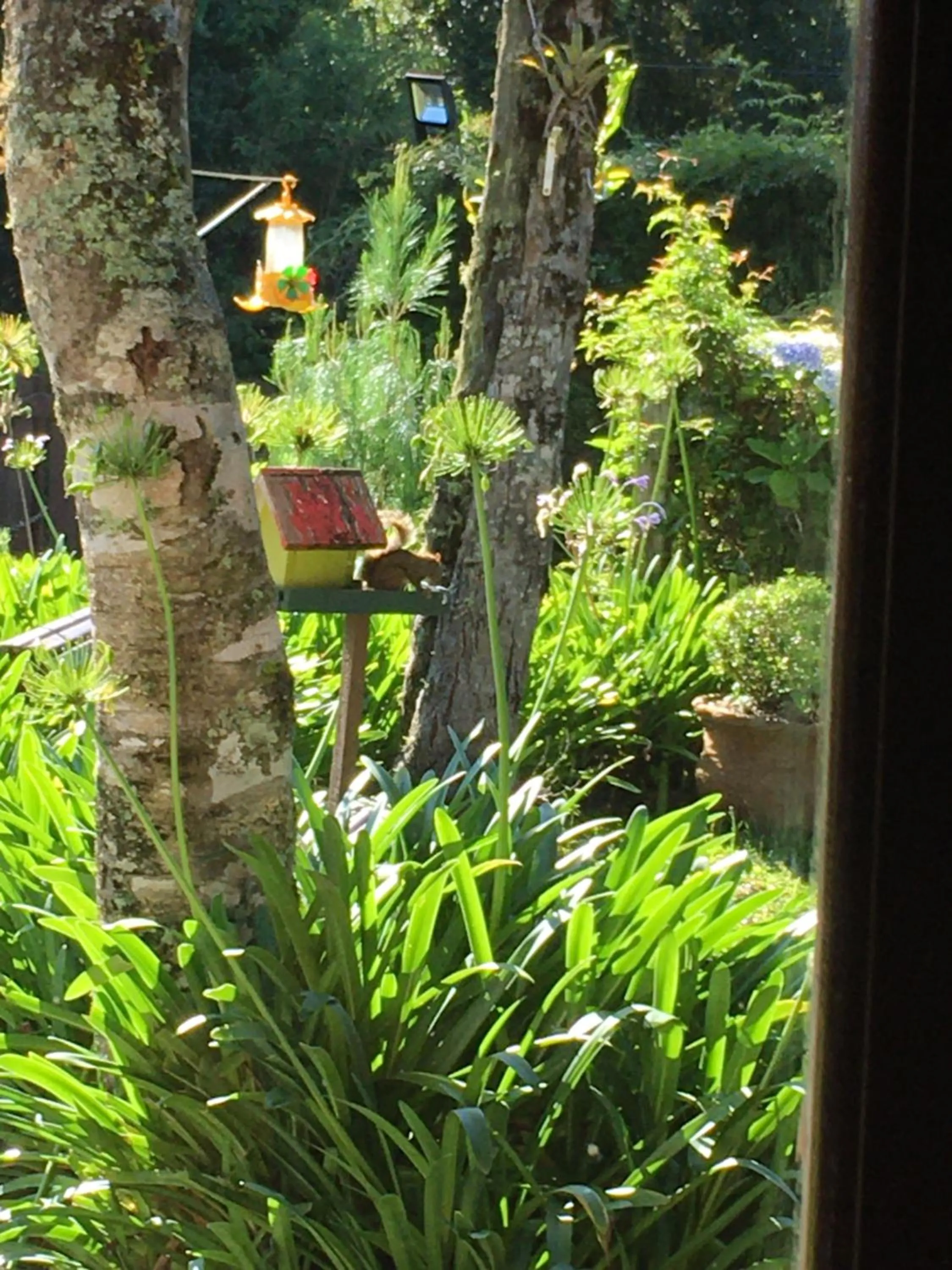 Natural landscape in Pousada VillaSerrana