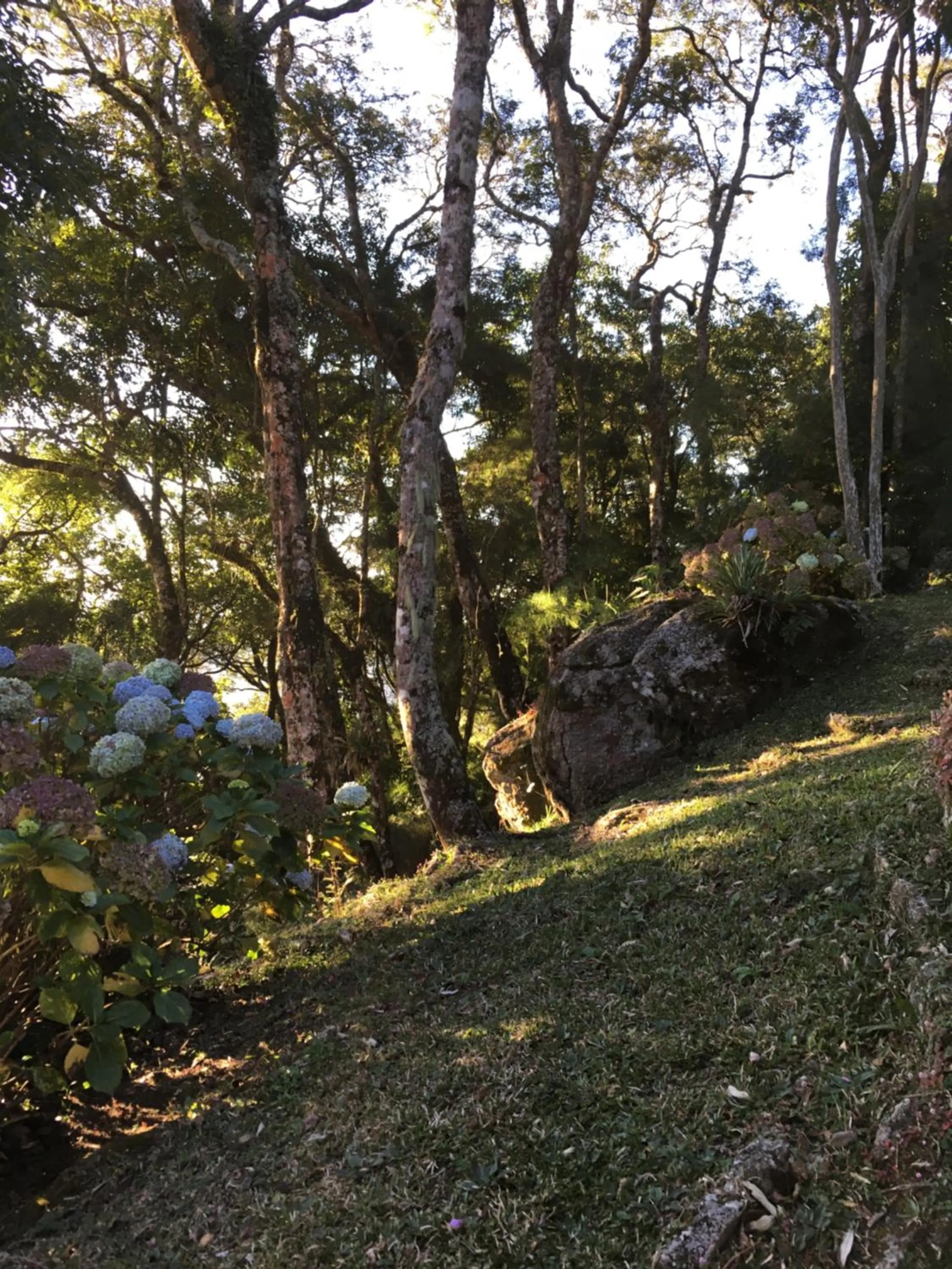 Natural landscape in Pousada VillaSerrana