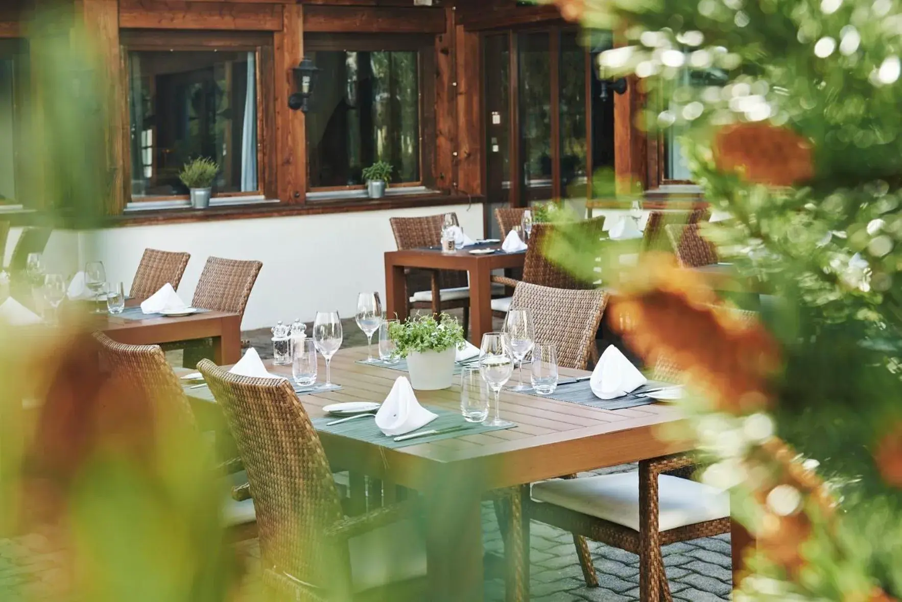 Restaurant/places to eat in Hotel Waldhuus Restaurant/places to eat in Hotel Waldhuus