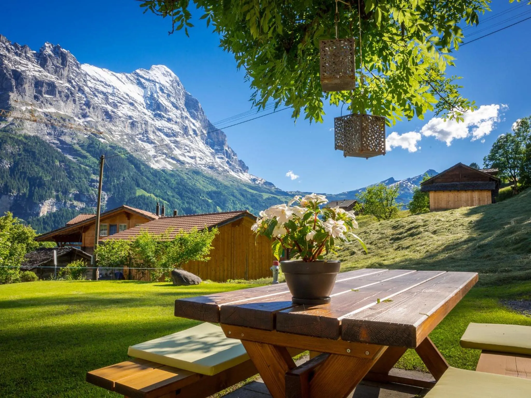 Garden in Hotel Lauberhorn - Home for Outdoor Activities