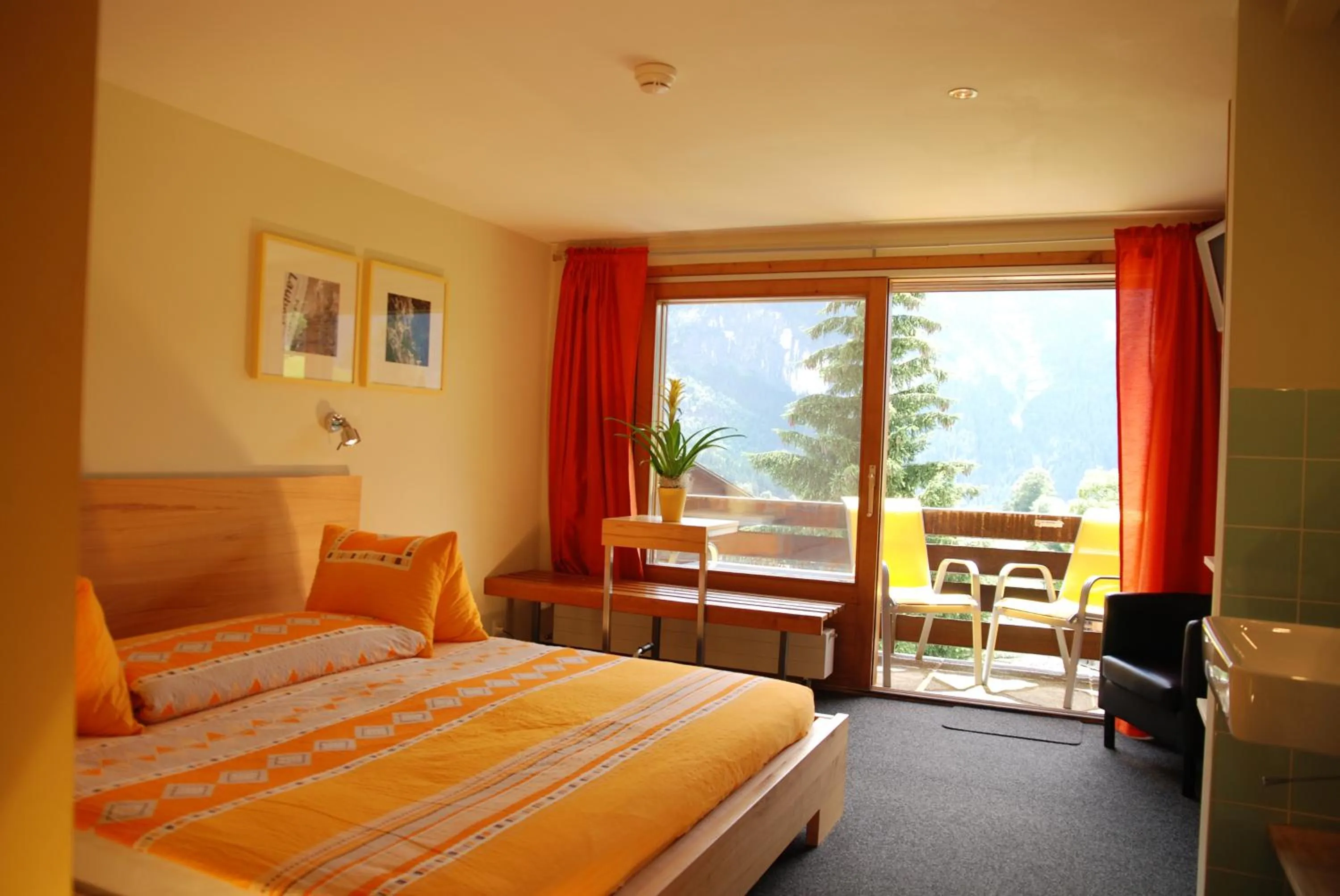 TV and multimedia in Hotel Lauberhorn - Home for Outdoor Activities