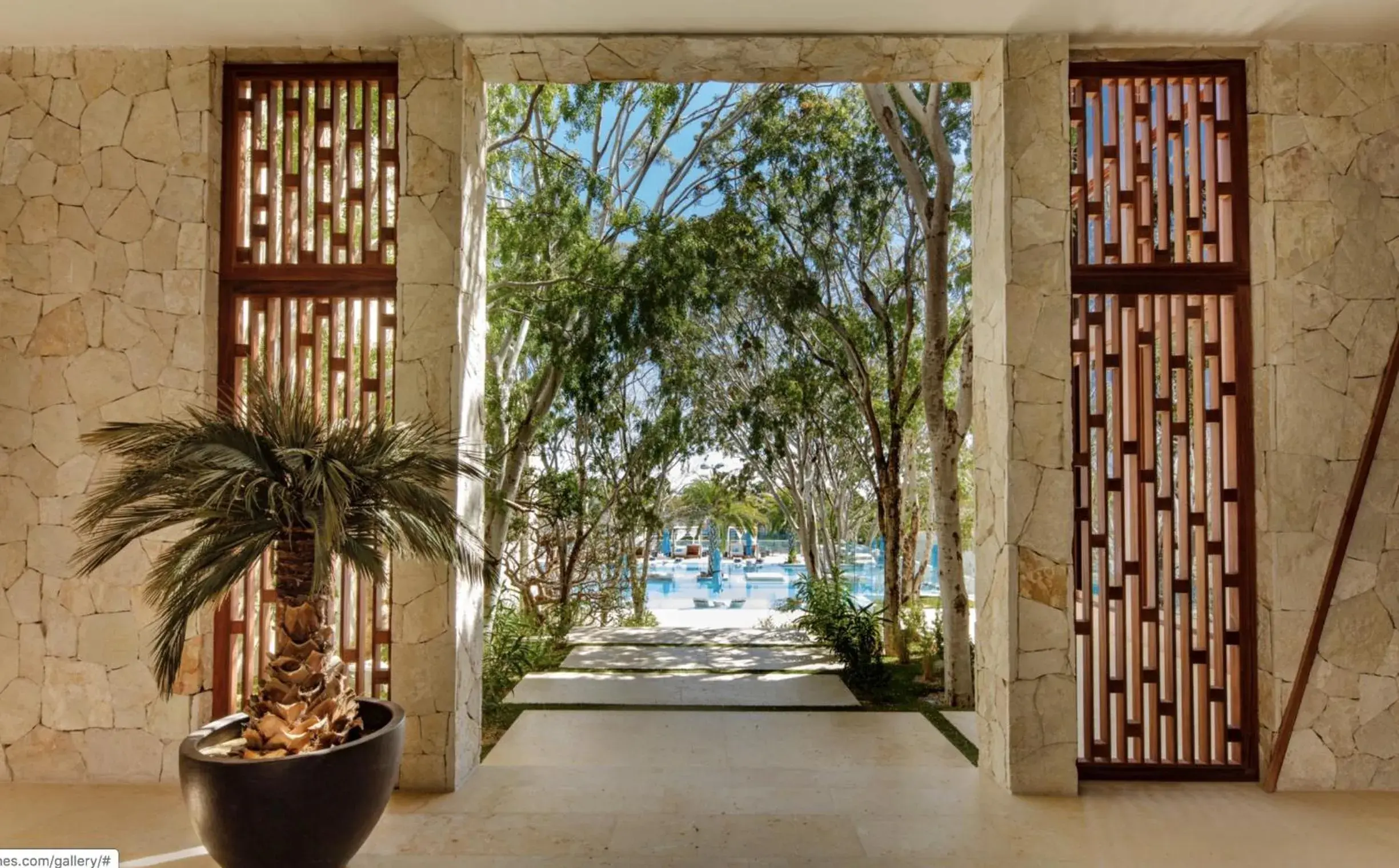 Bohari Palmilla Bohari Palmilla