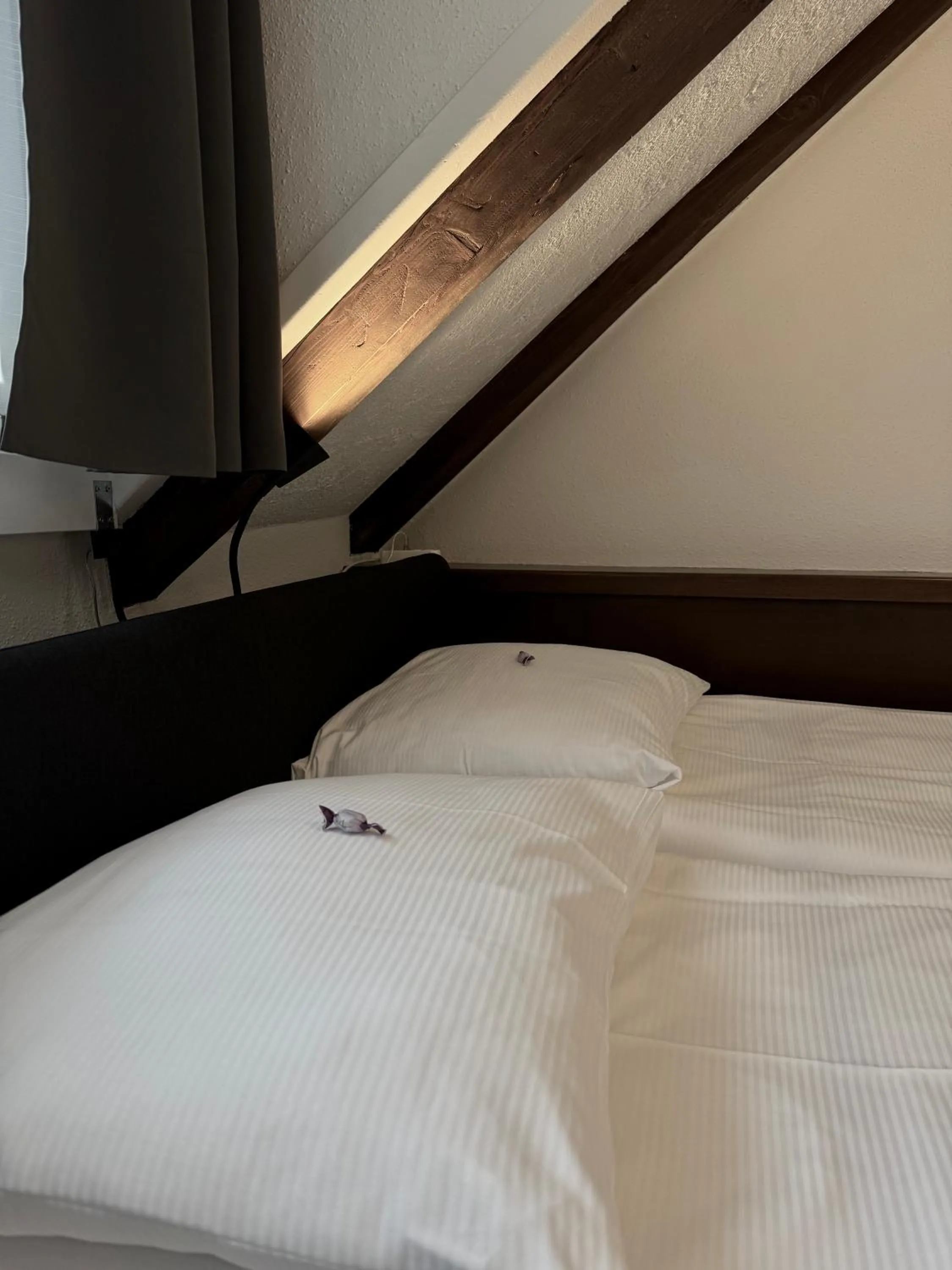 Photo of the whole room, Bed in Hotel Baslertor