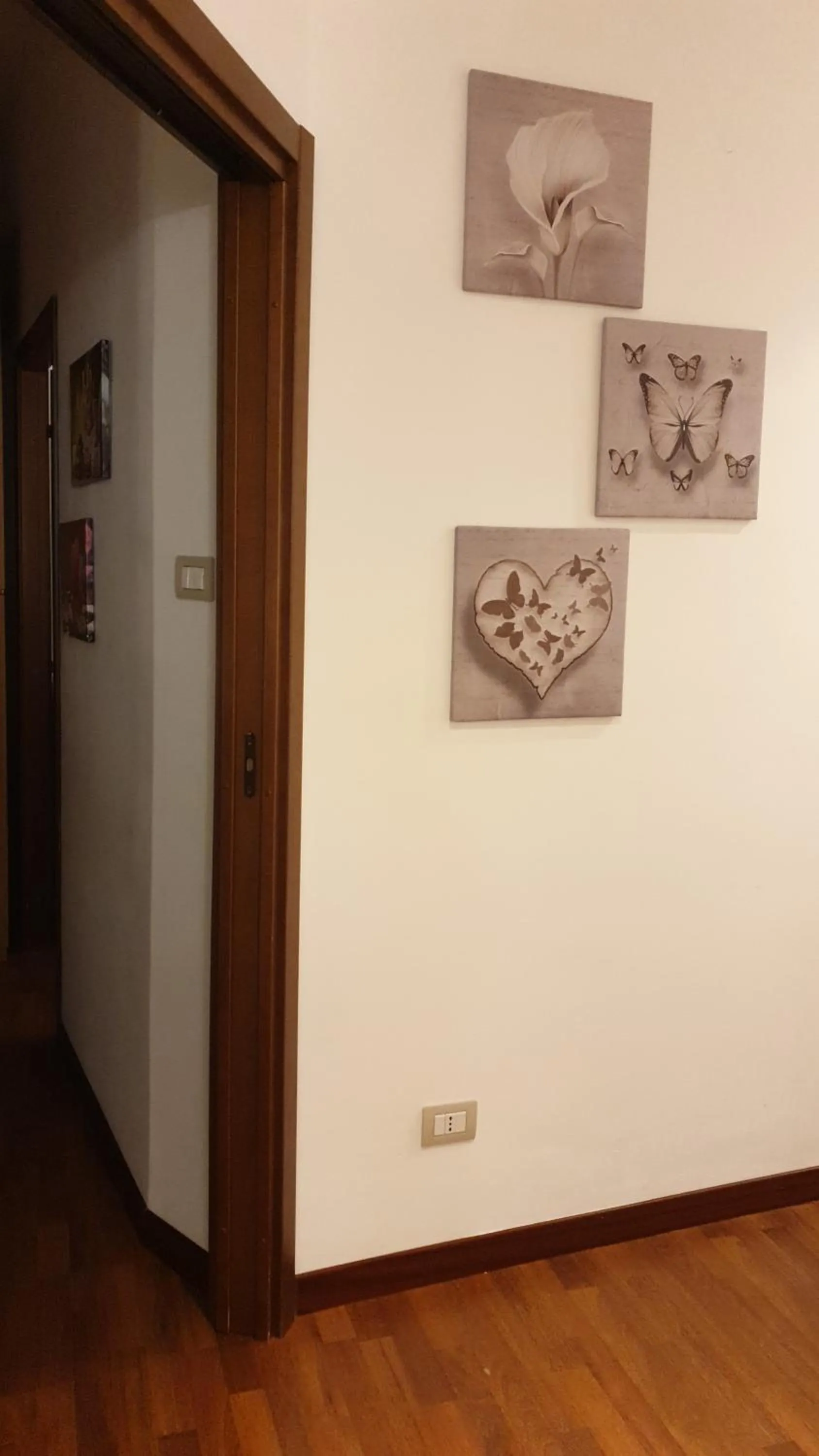 Night in Saint Peter Vatican City Large Apartment Barbara casa vacanza
