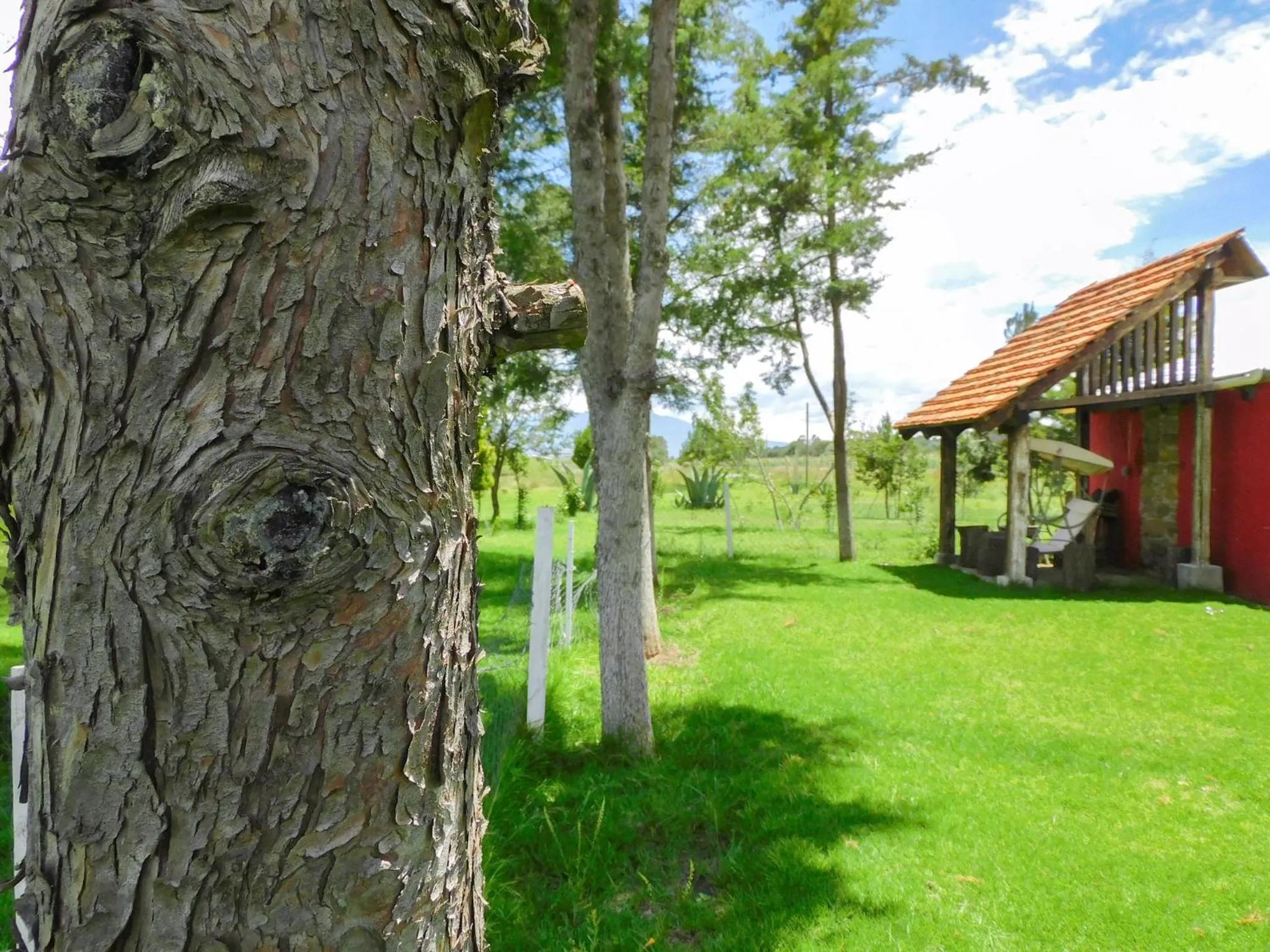 Hacienda La Noria Culture Boutique by Rotamundos