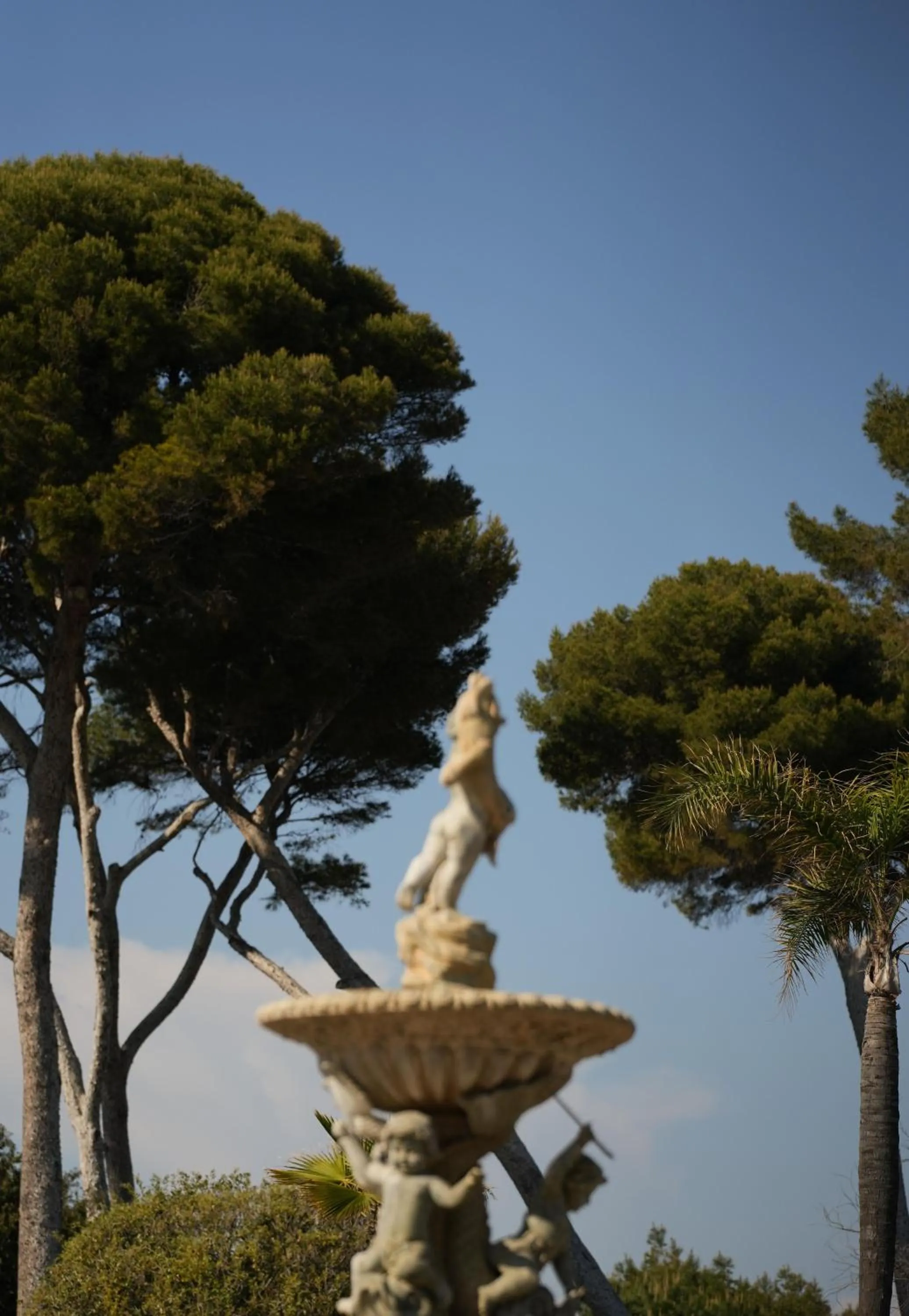 Garden in Villa Miraé by Inwood Hotels - Cap d'Antibes