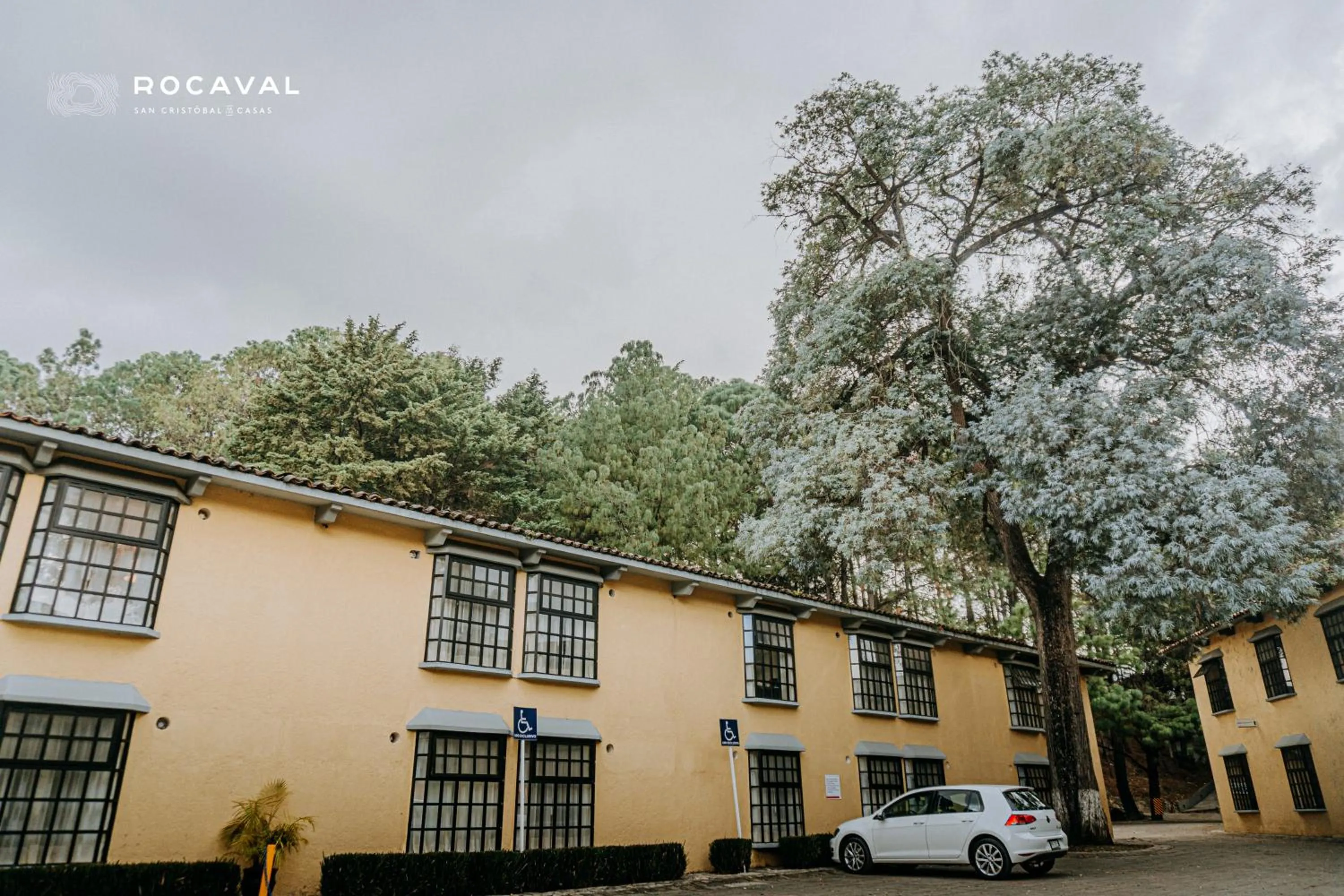 Garden view in Hotel Rocaval San Cristóbal de las Casas