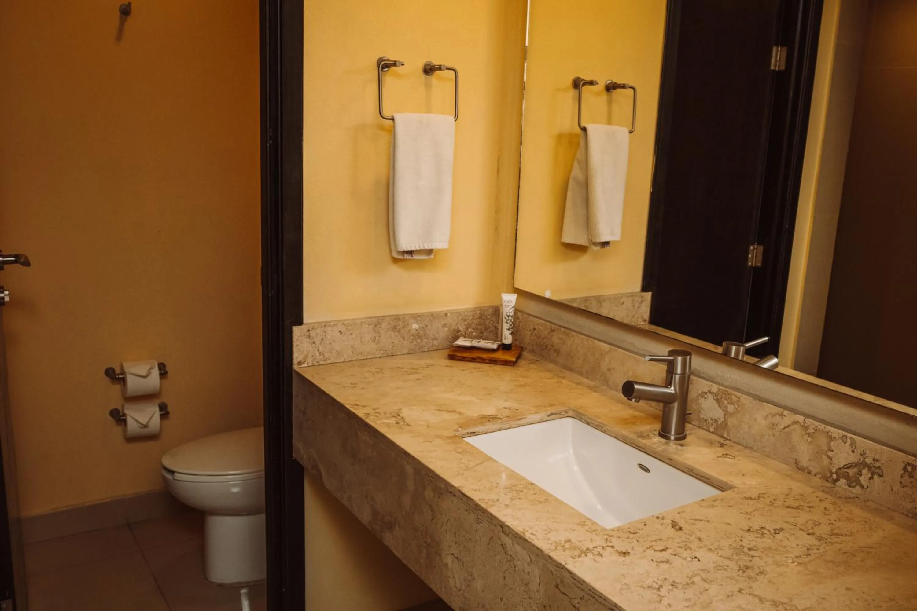 Toilet in Hotel Rocaval San Cristóbal de las Casas