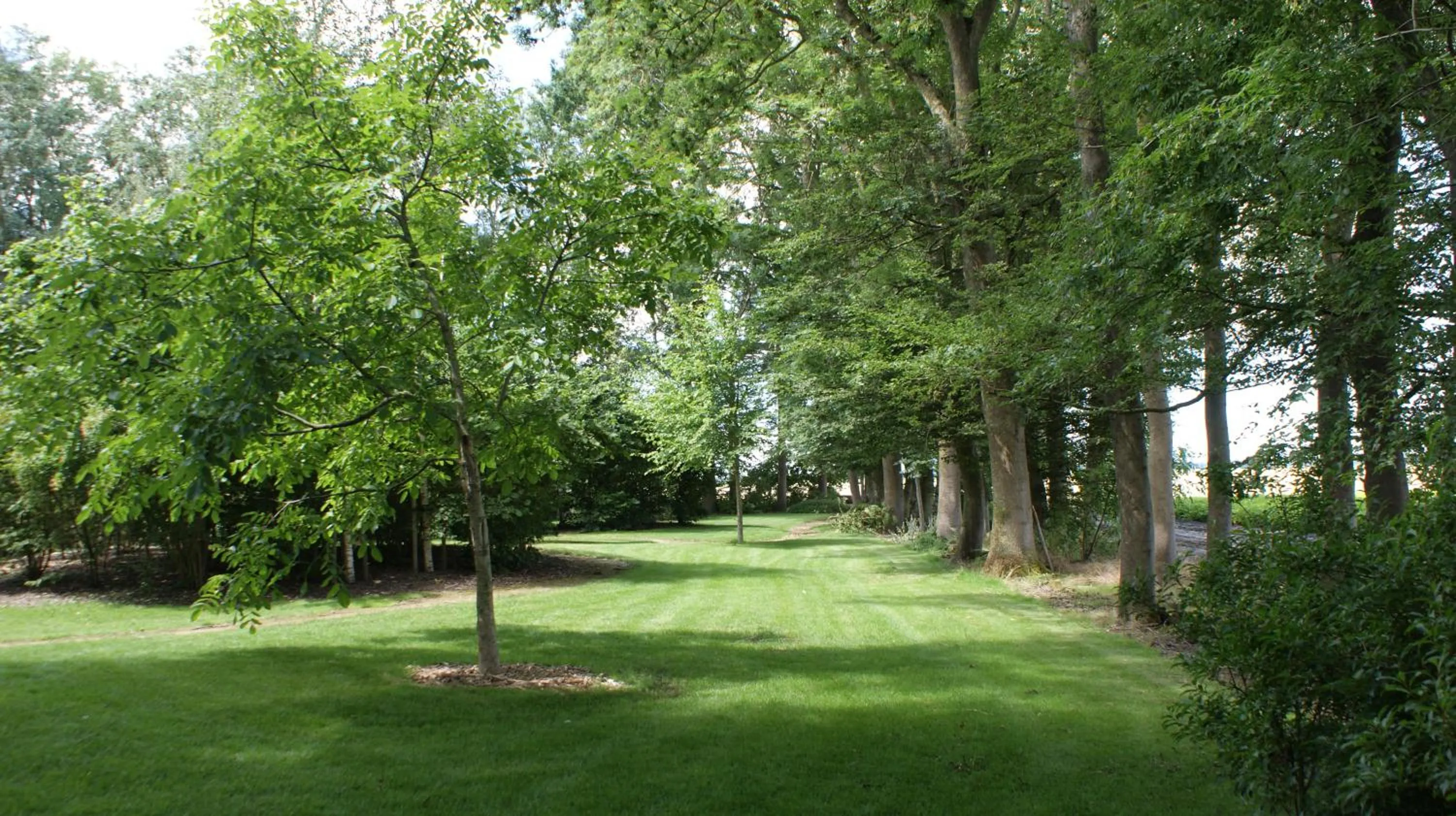 Garden in De Buitenhof