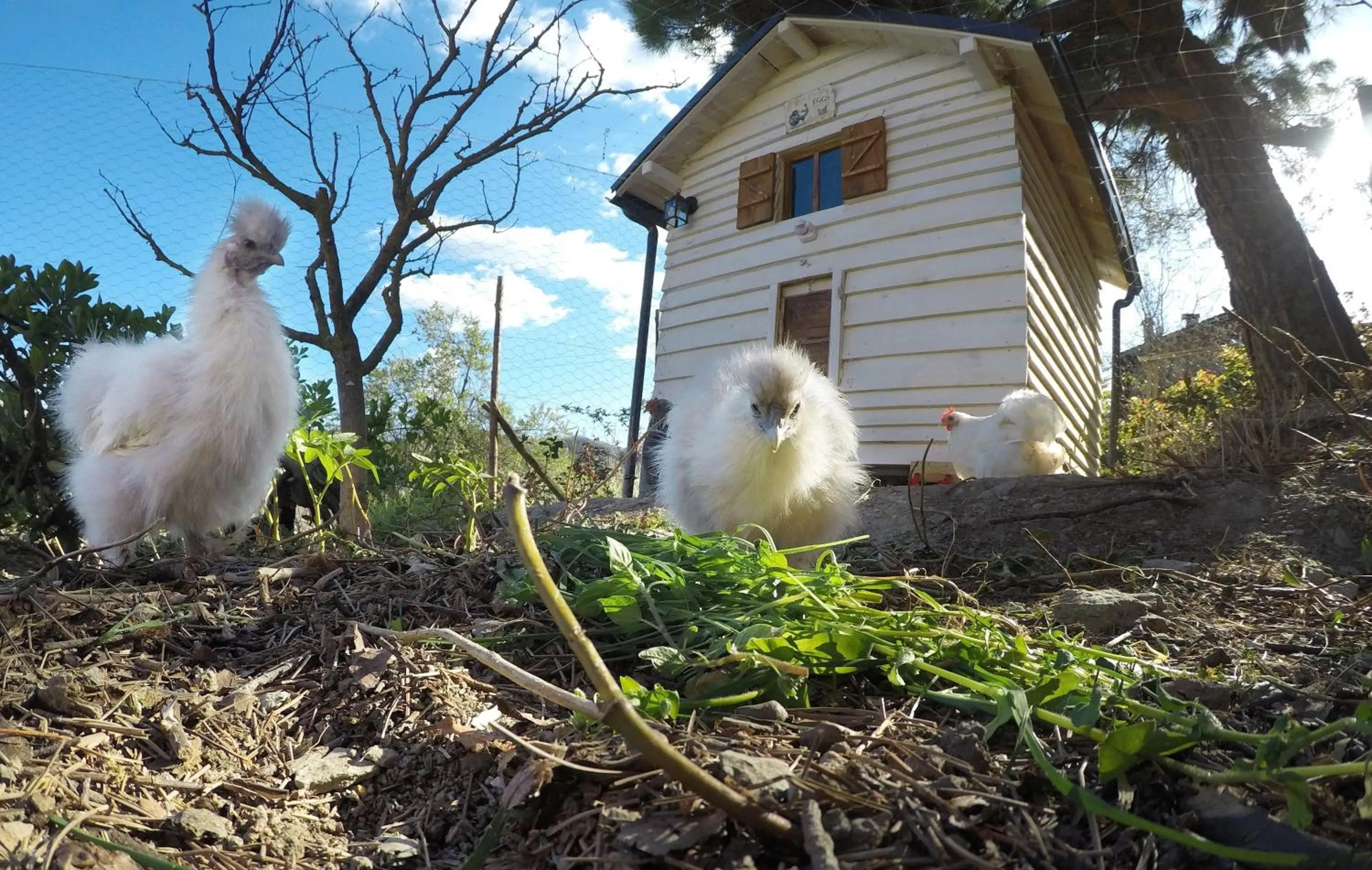B&B La casa dei cuori