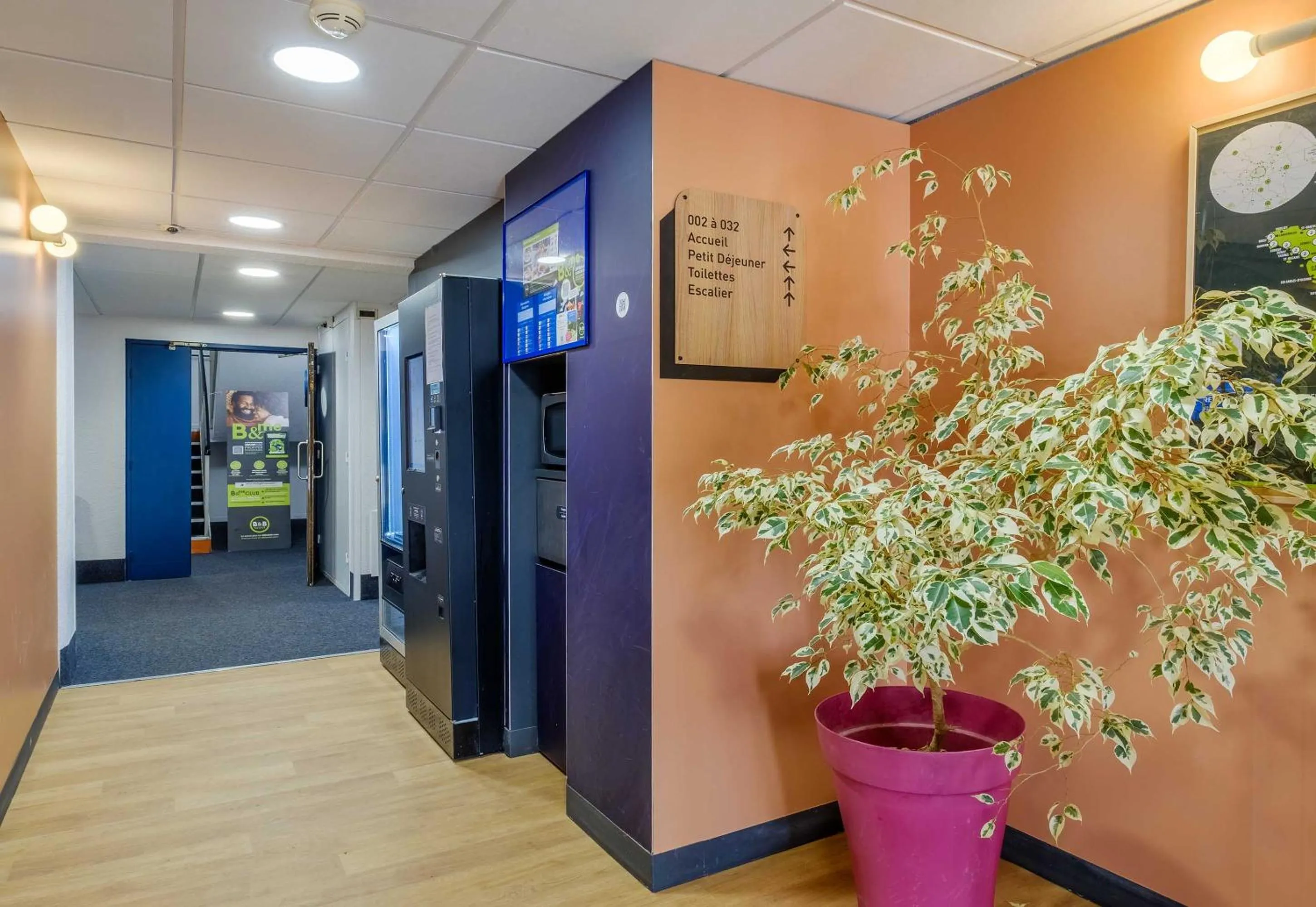 Decorative detail in B&B HOTEL Cannes Mouans Sartoux