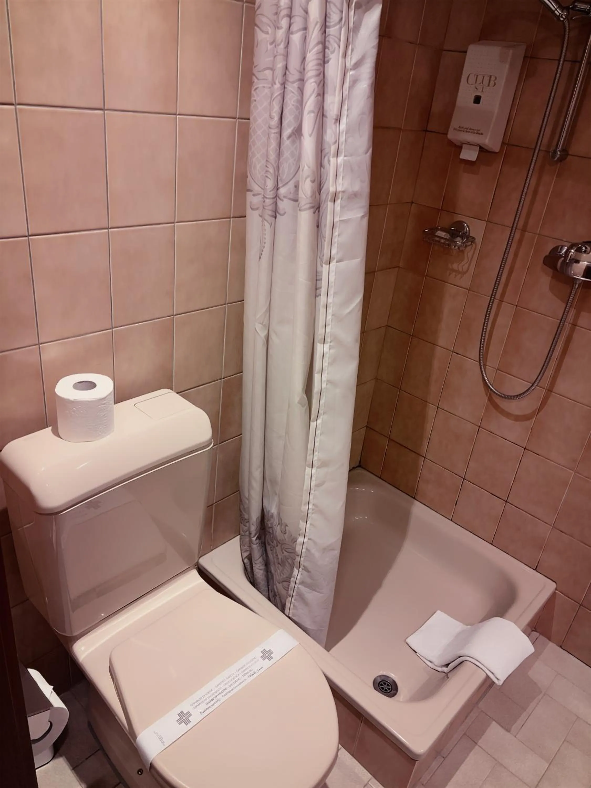 Shower in Hôtel des Trois Rois