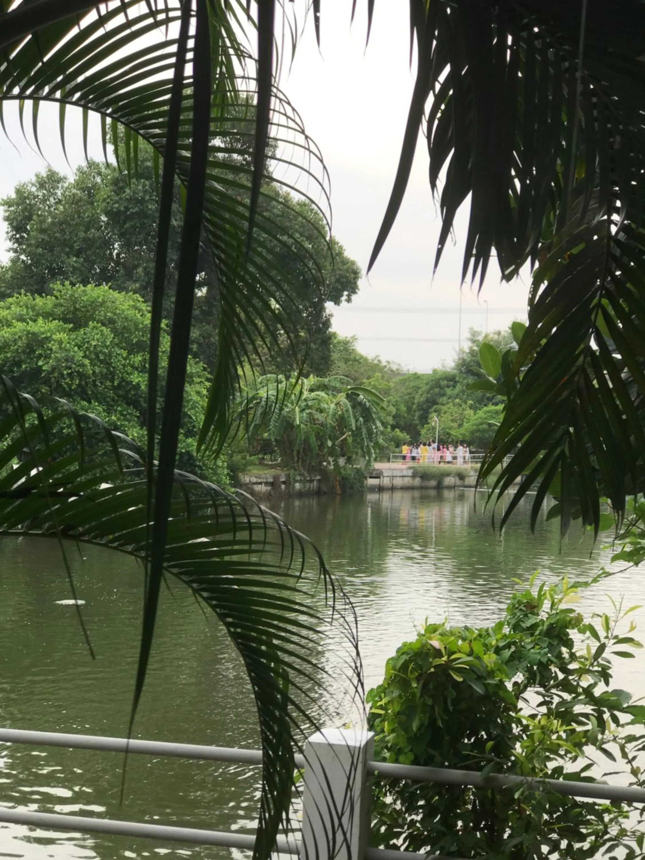 Natural landscape in Sripiamsuk Resort Bangkok
