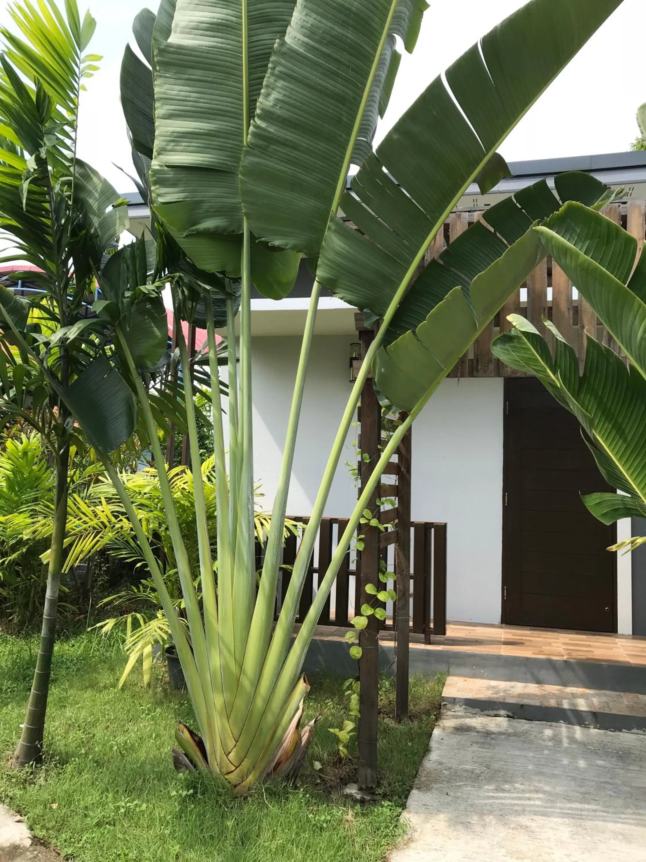 Property building in Sripiamsuk Resort Bangkok