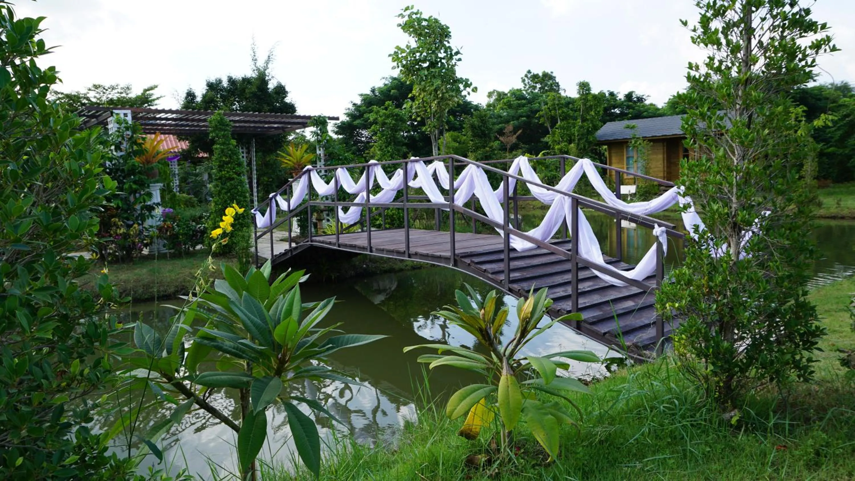 Natural landscape in Sripiamsuk Resort Bangkok