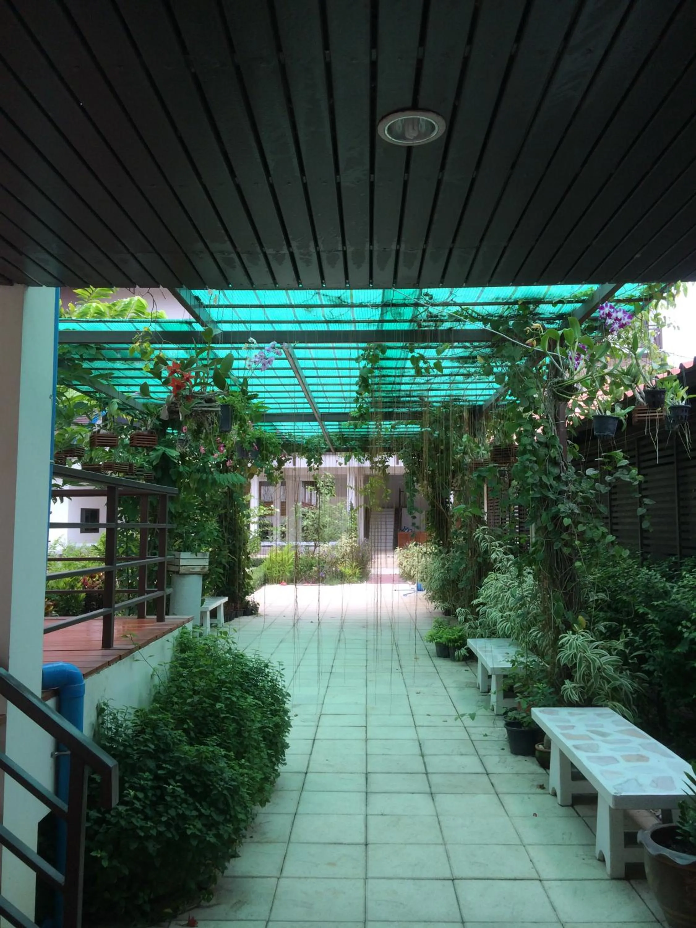 Garden in Sripiamsuk Resort Bangkok