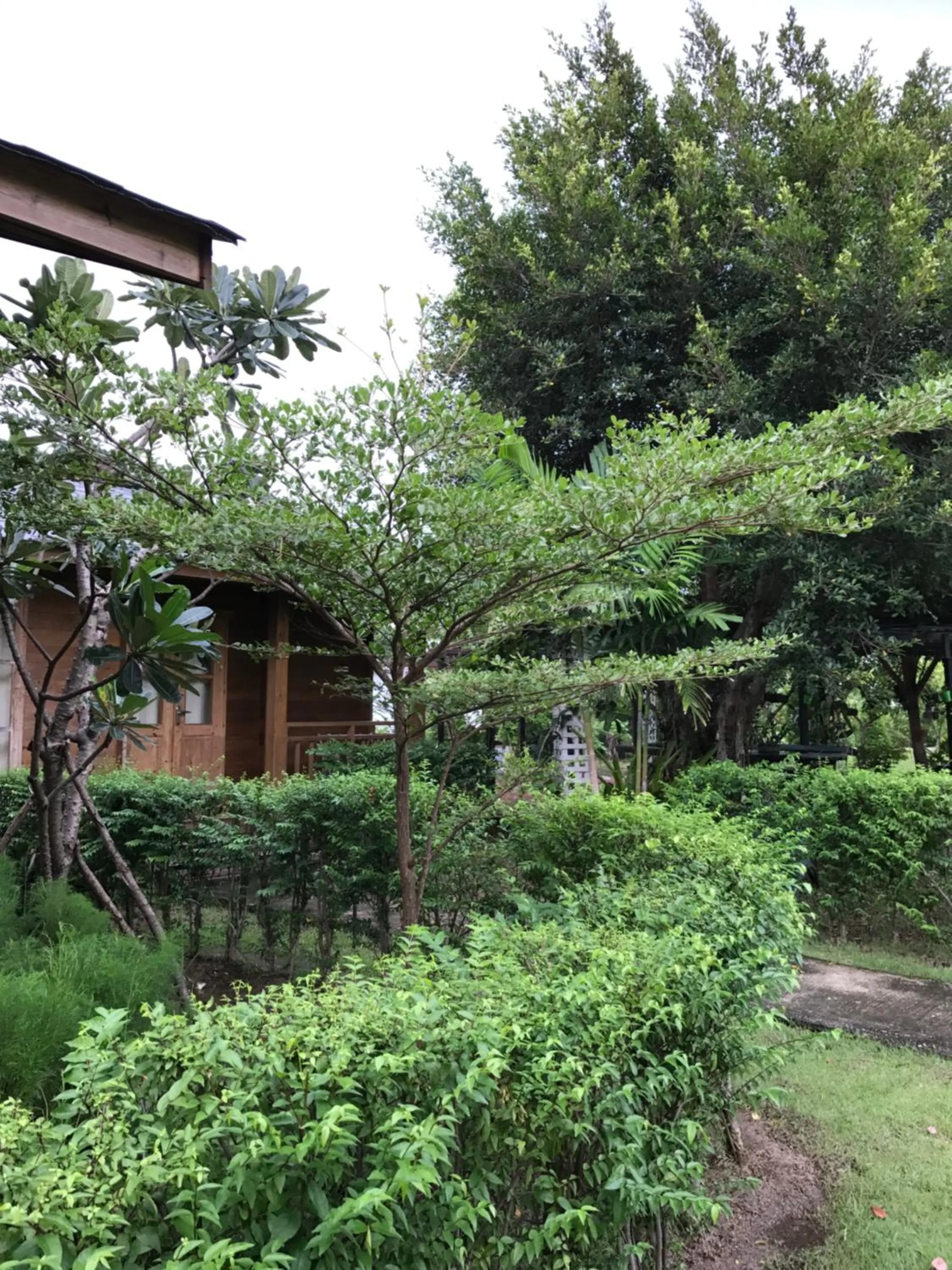 Garden in Sripiamsuk Resort Bangkok