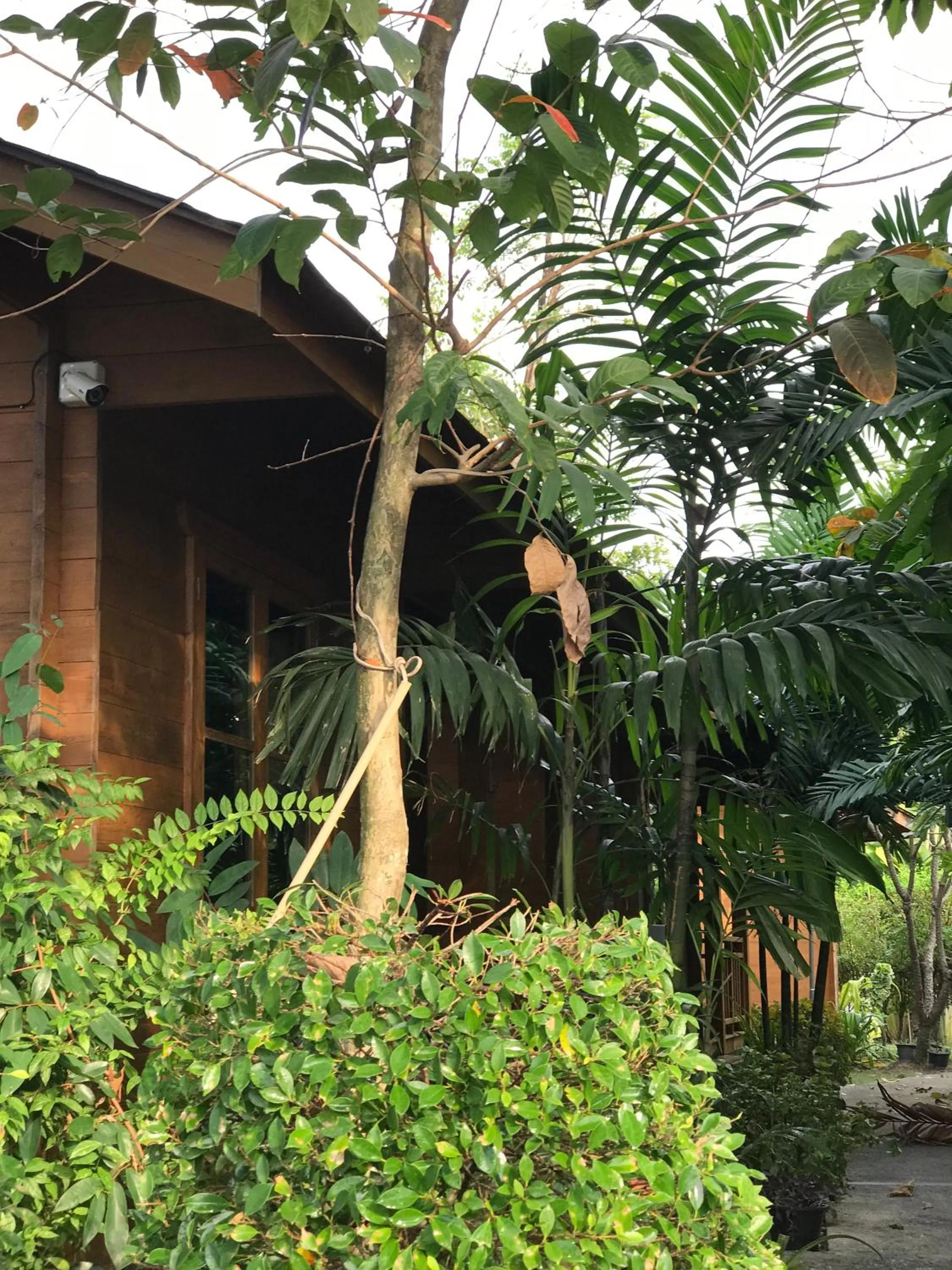 Property building in Sripiamsuk Resort Bangkok