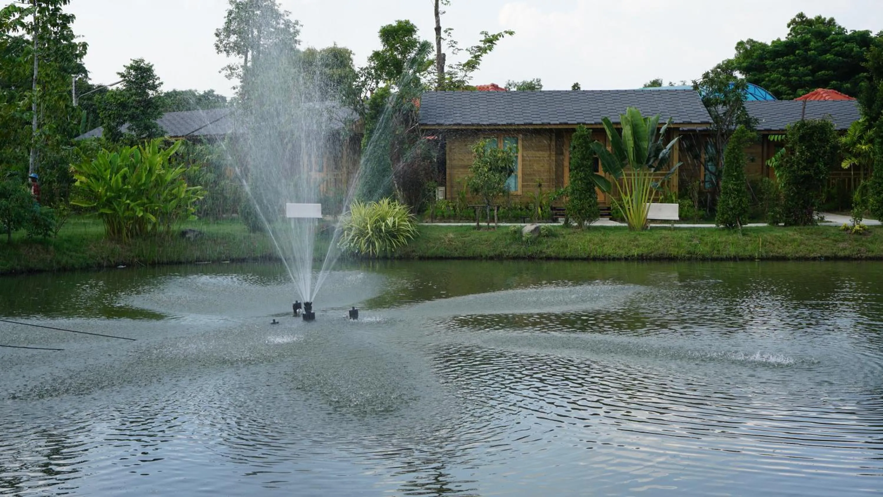 Natural landscape in Sripiamsuk Resort Bangkok