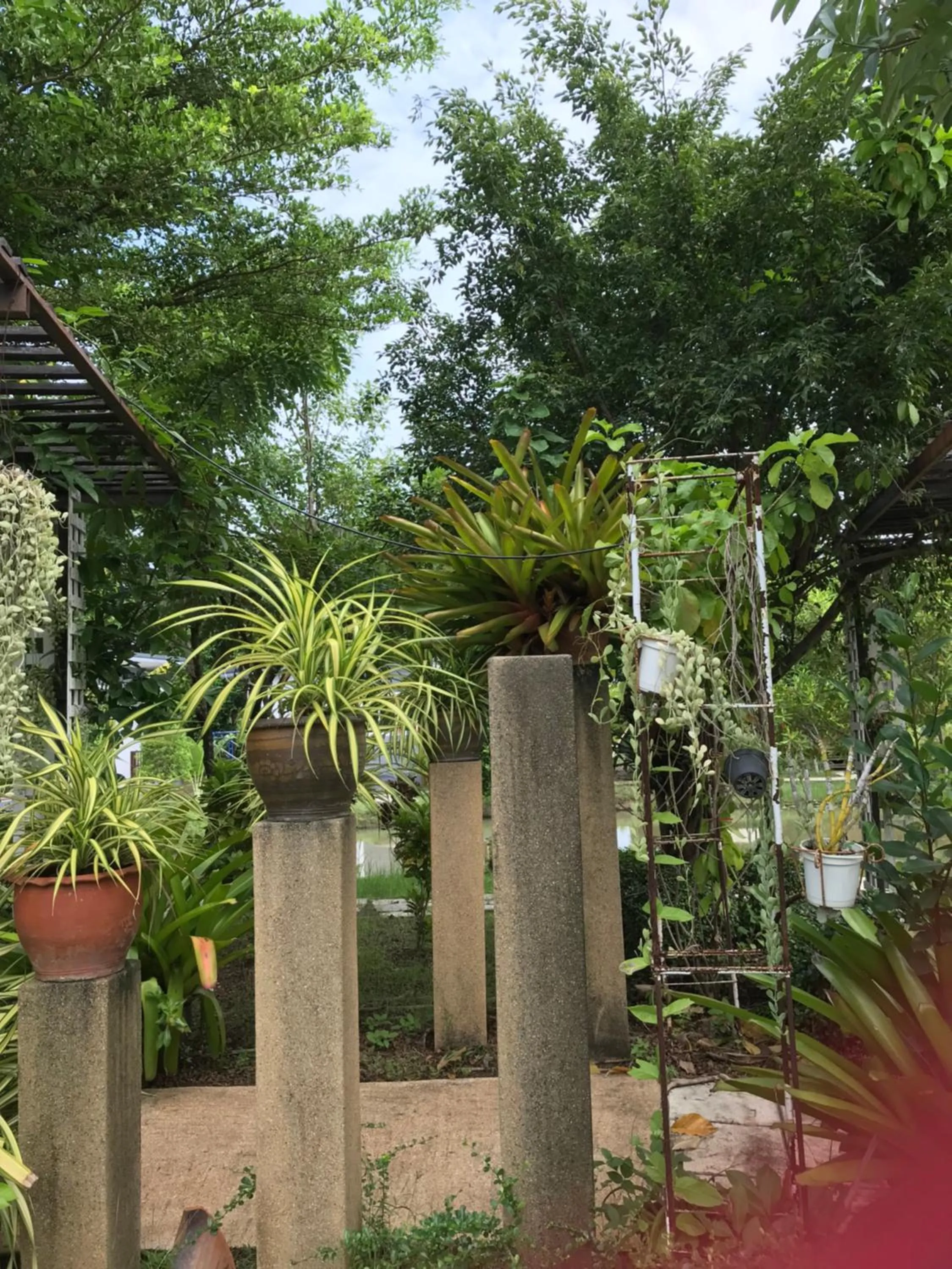Natural landscape in Sripiamsuk Resort Bangkok