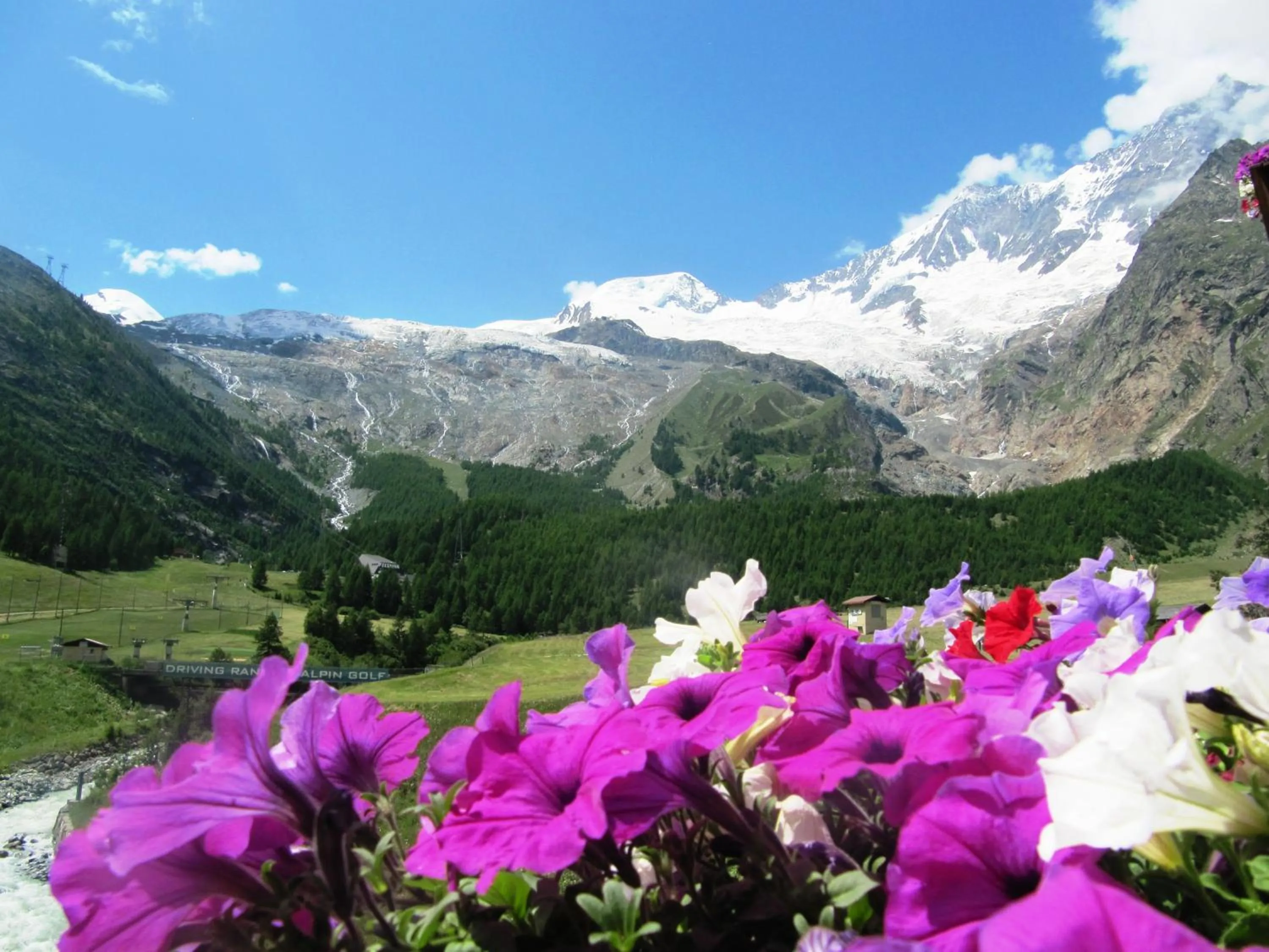 View (from property/room) in Hotel Bristol