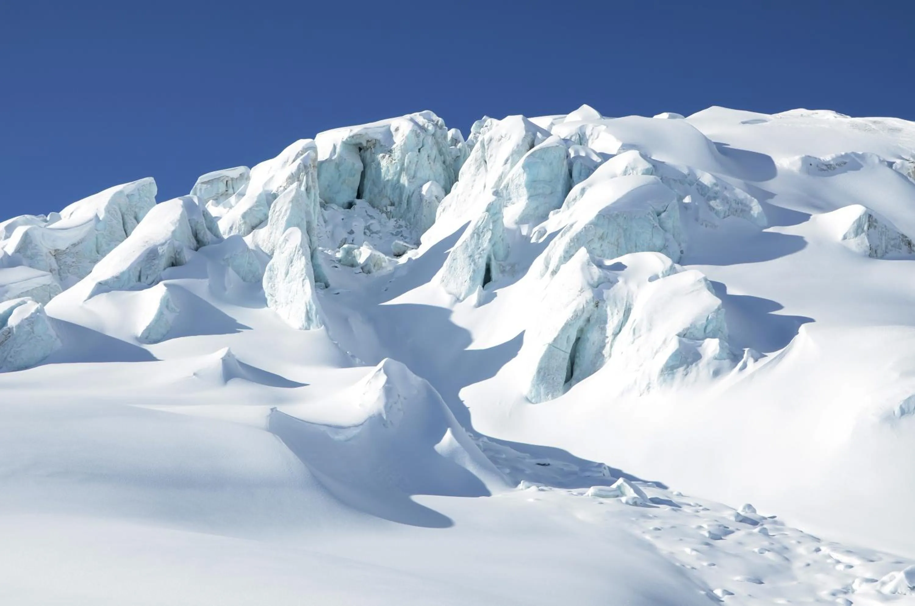 Natural landscape in Hotel Bristol