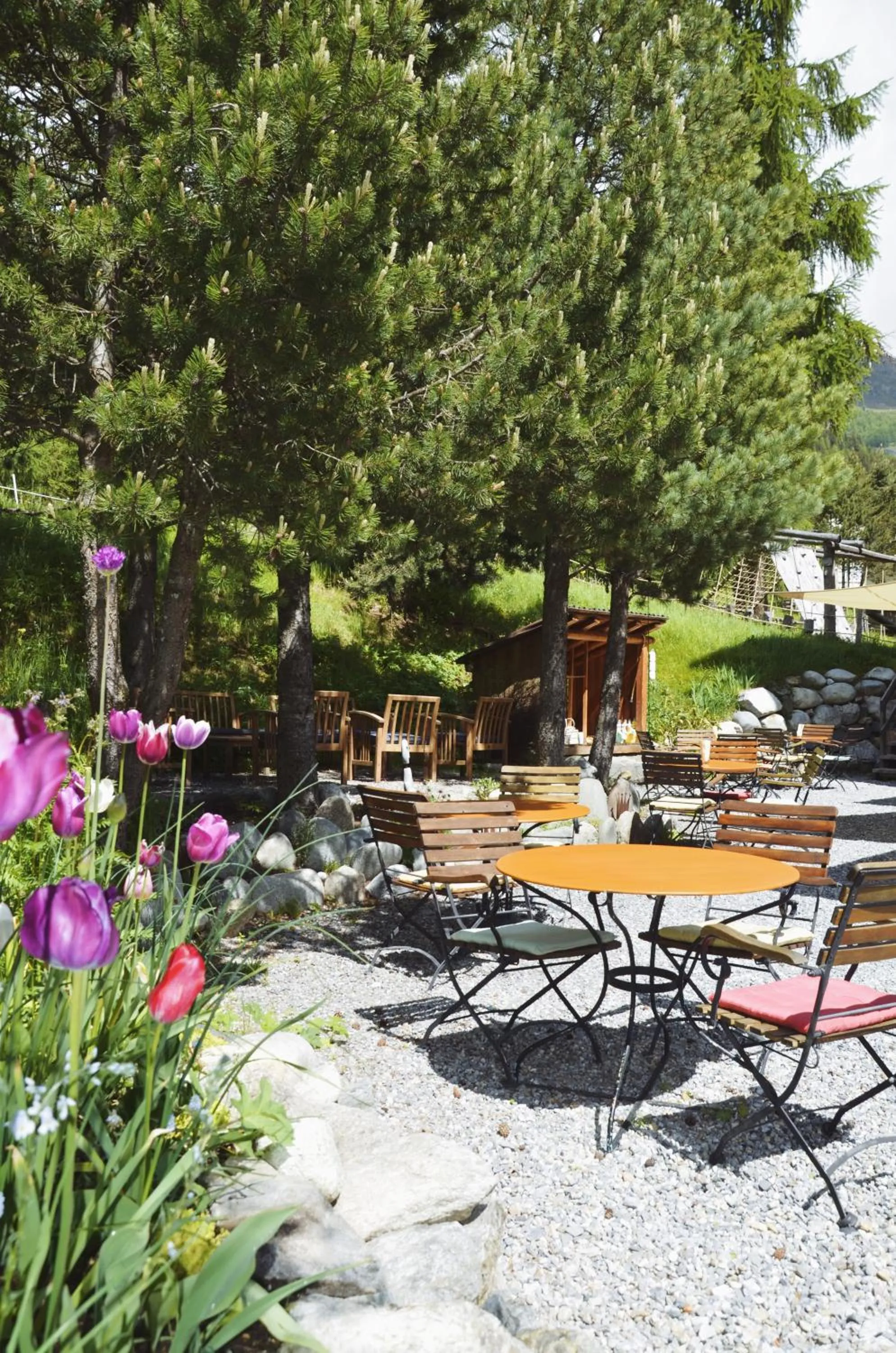 Garden in Hotel Veduta
