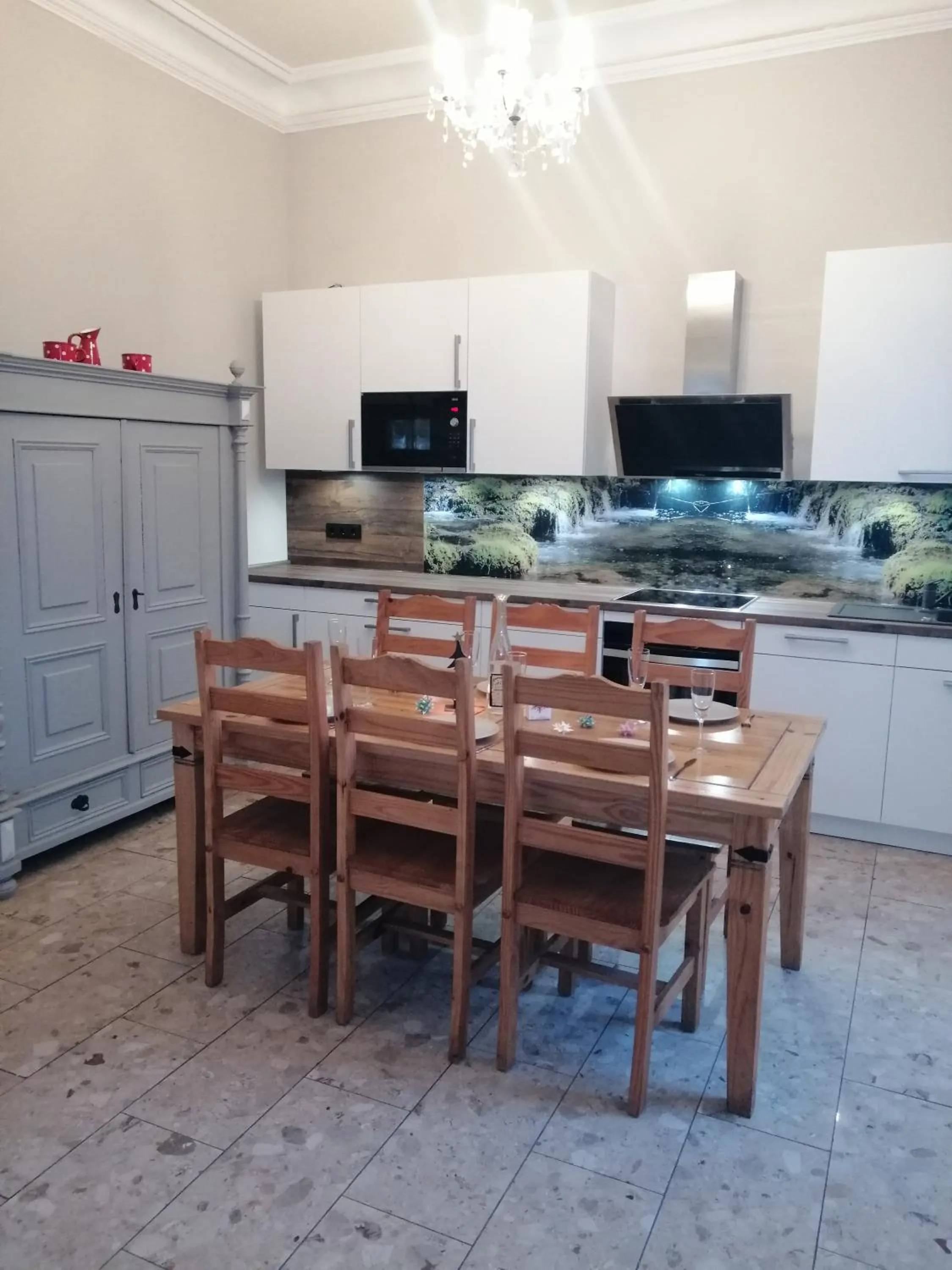 Kitchen or kitchenette in Villa Unger
