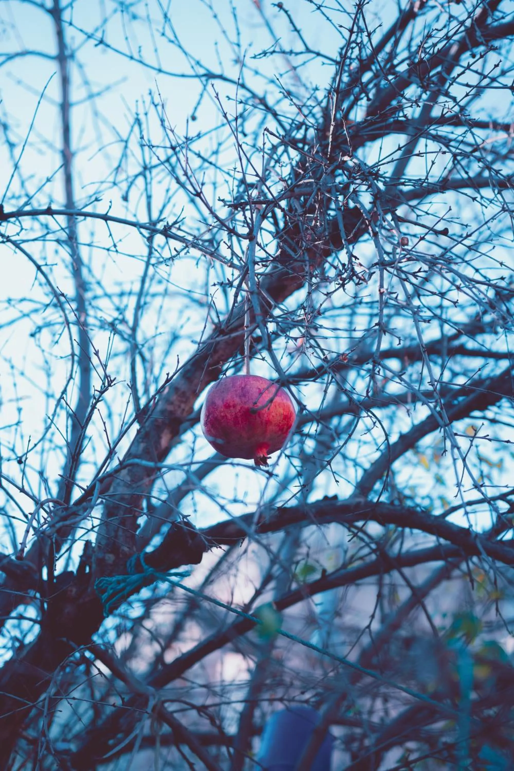 Narlı Ev Butik Otel