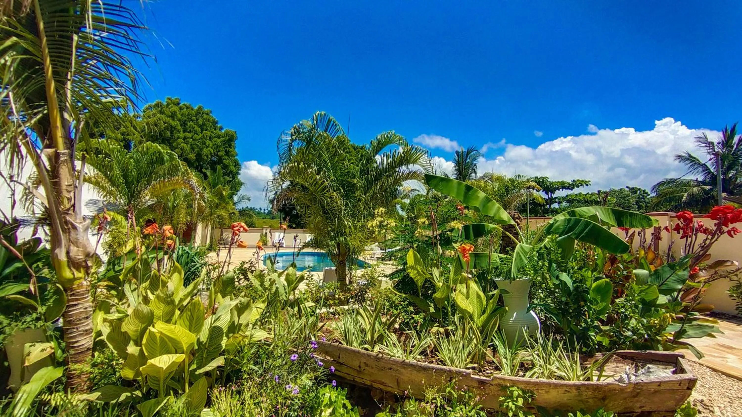 Restaurant/places to eat in Golden Palm Boutique Zanzibar