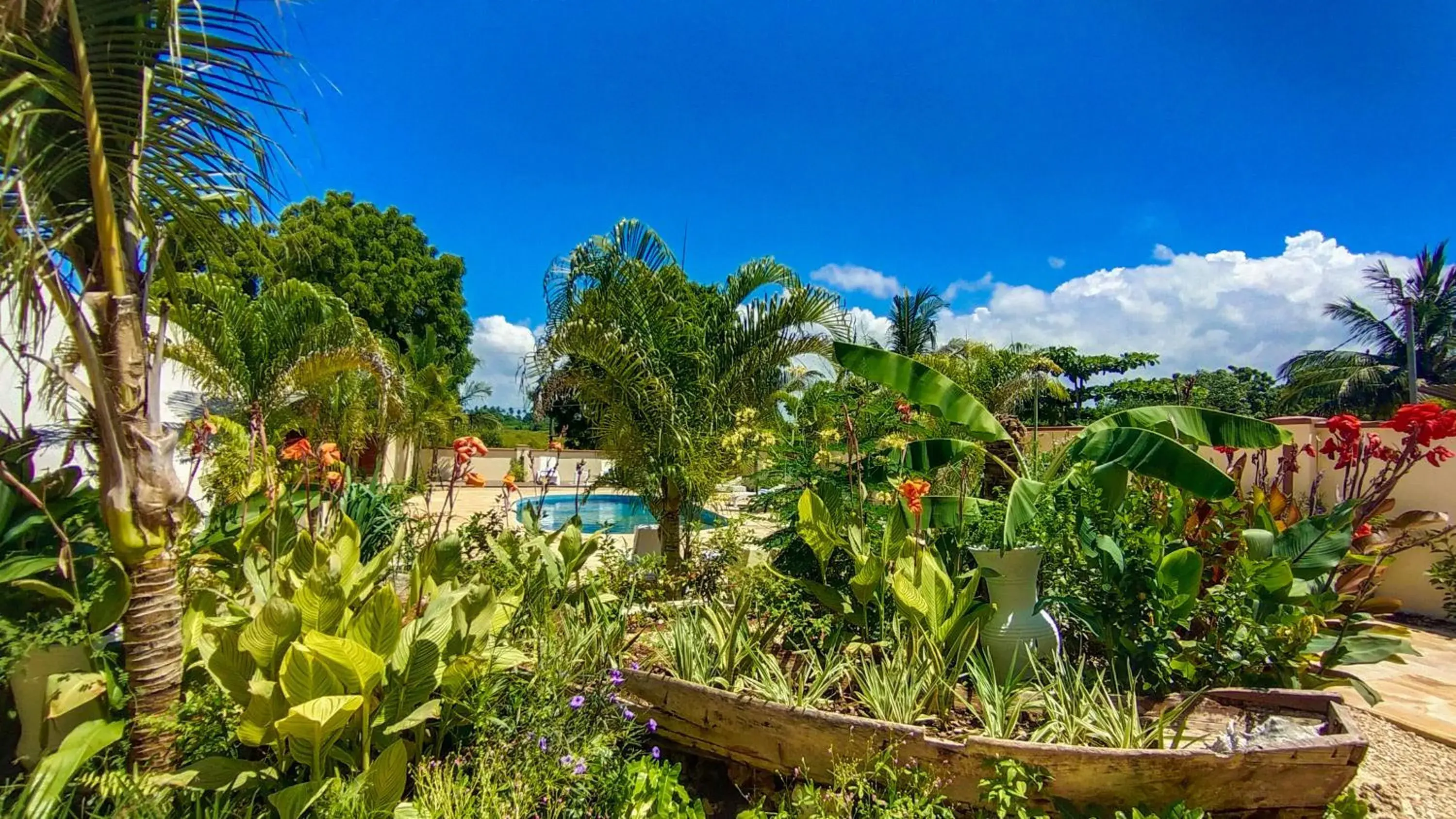 Restaurant/places to eat in Golden Palm Boutique Zanzibar Restaurant/places to eat in Golden Palm Boutique Zanzibar