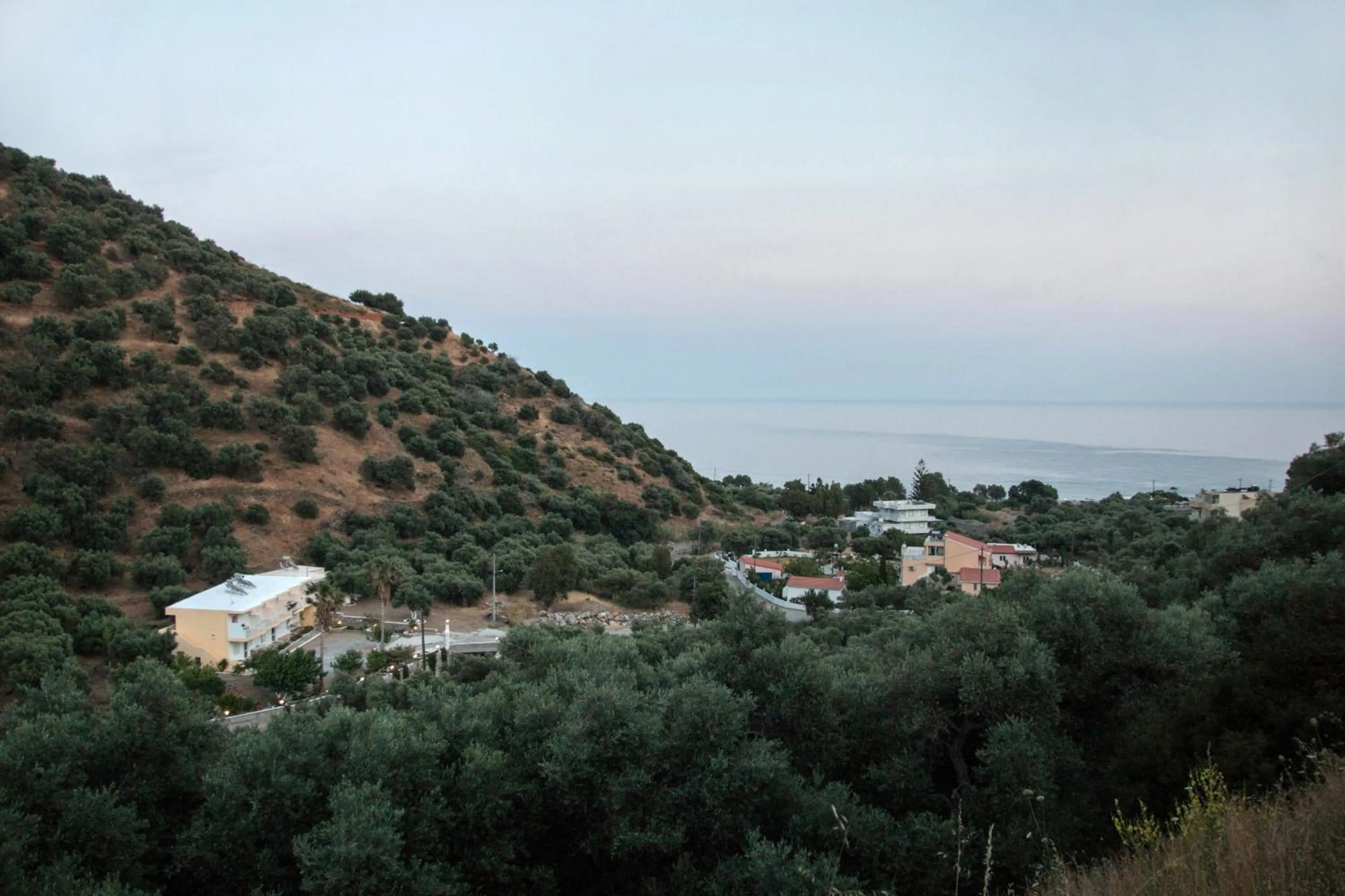 Rykinthos studios