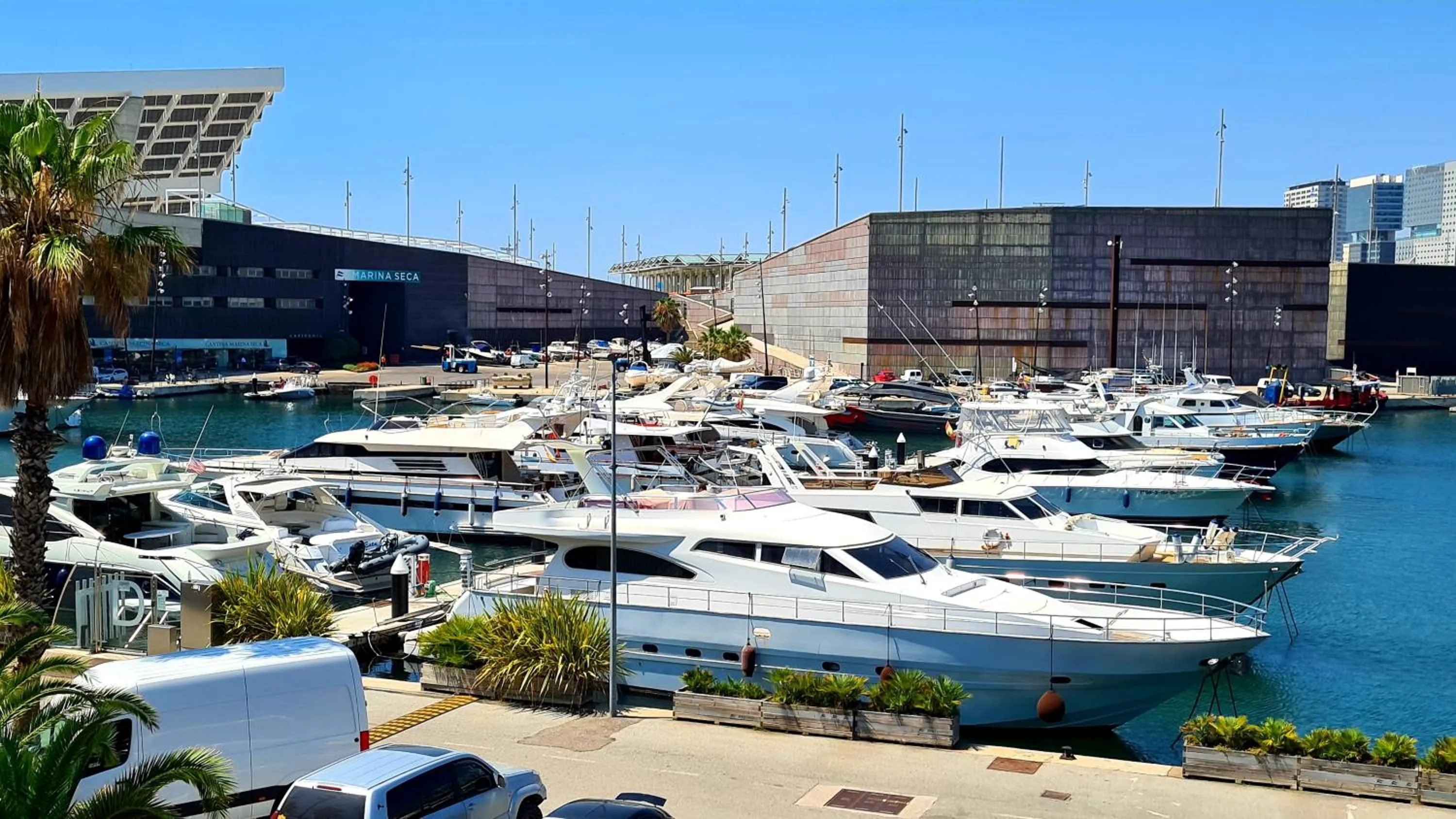 Forum-CCIB-Relax Flats